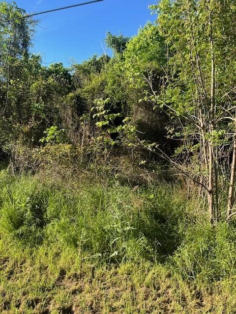 171 Kahana Ln