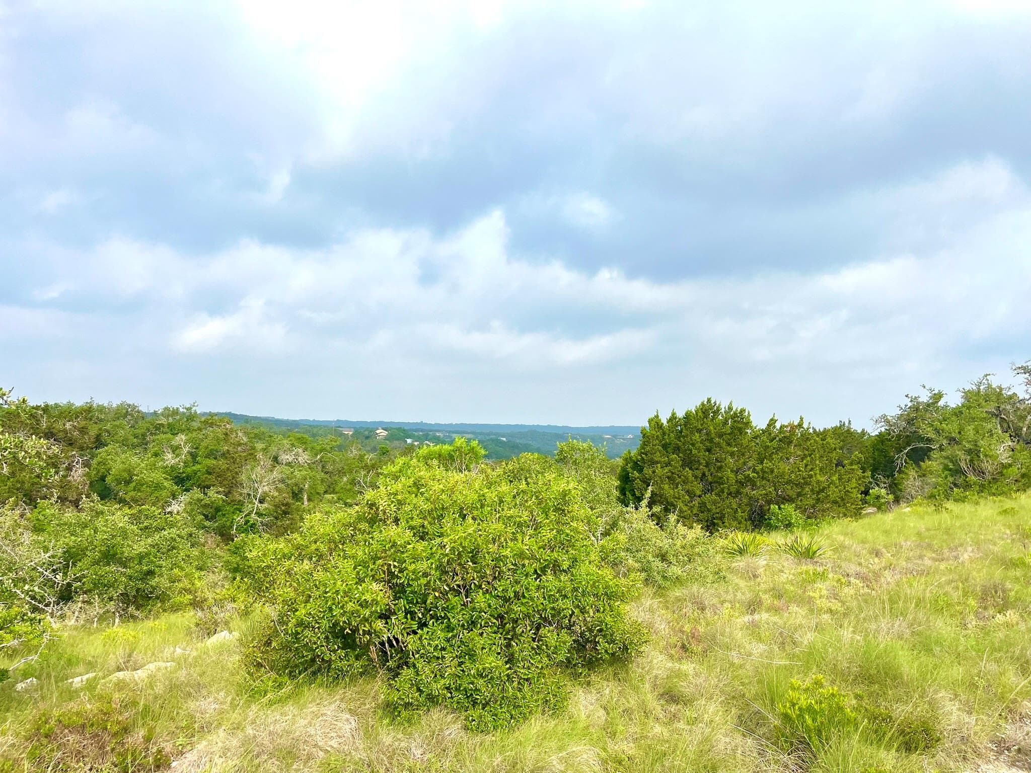 509 Greystone Rd