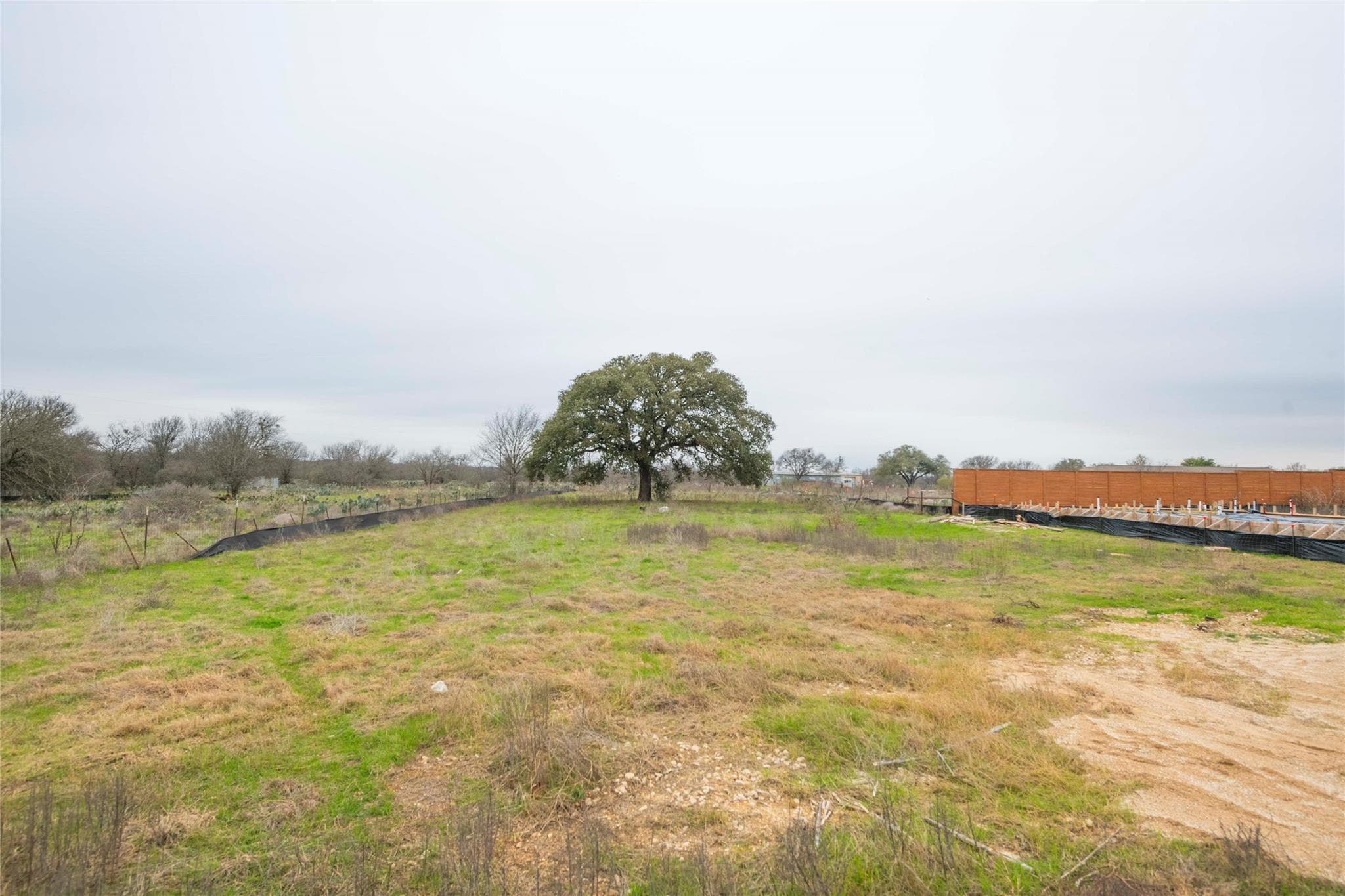 312 Monterey Oak Trl