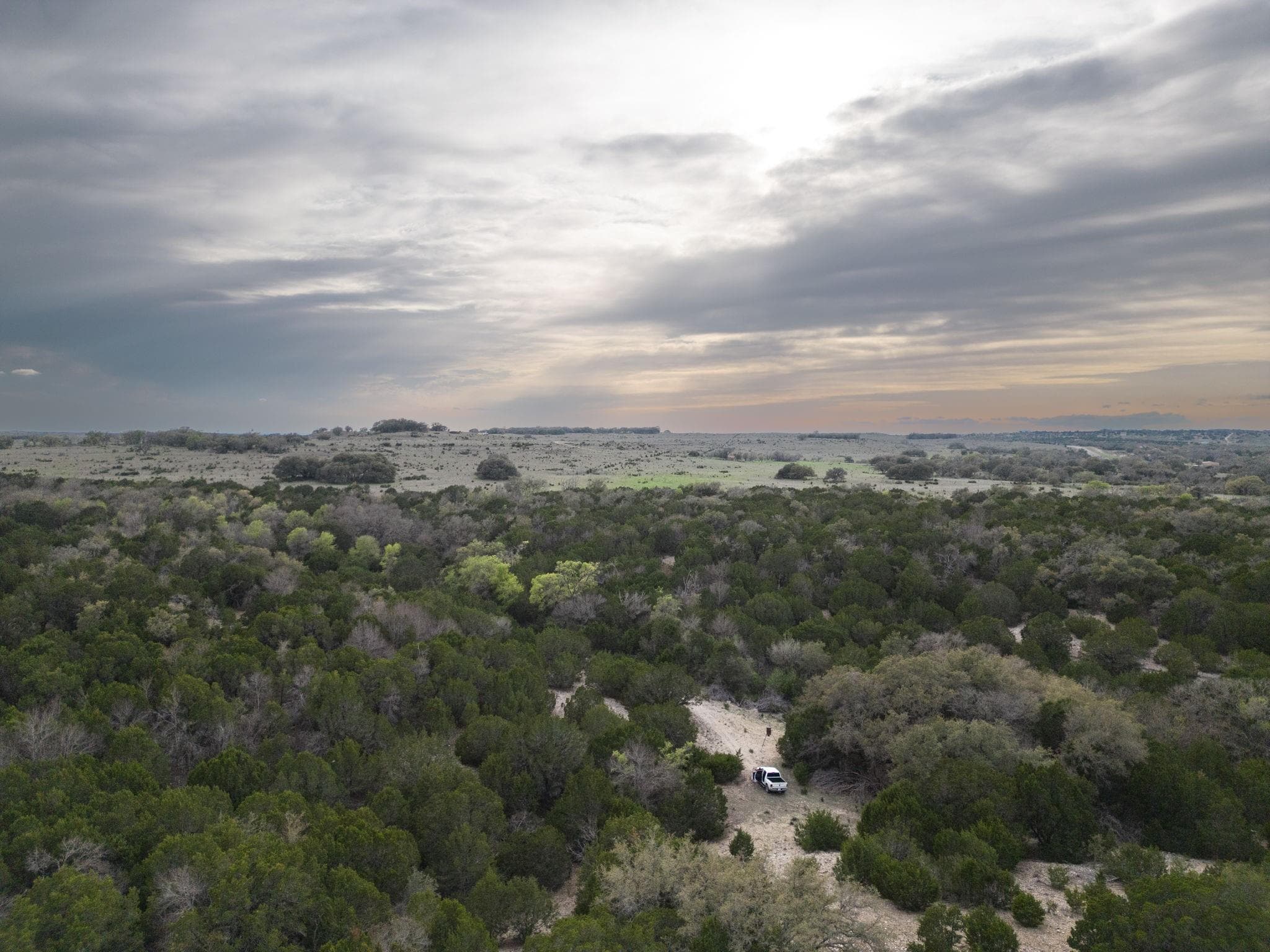 50.44 Acres County Road 3100 None