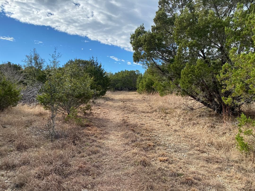 TBD County Road 106 None