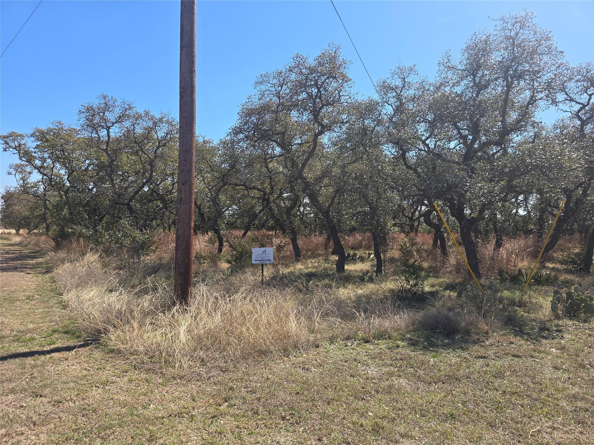 lot 211 Axis Way