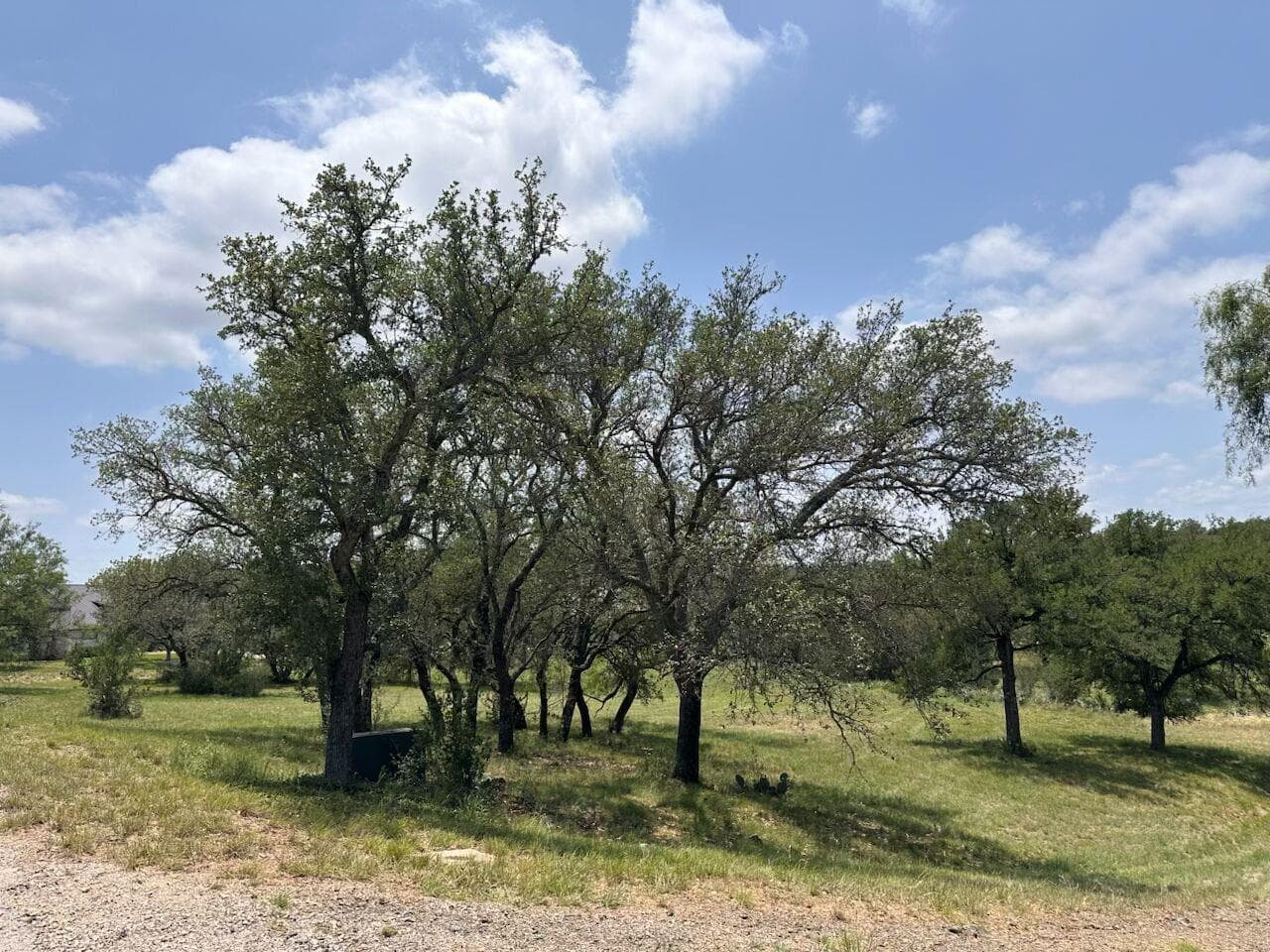 W23015 Lost River/Lost Creek None