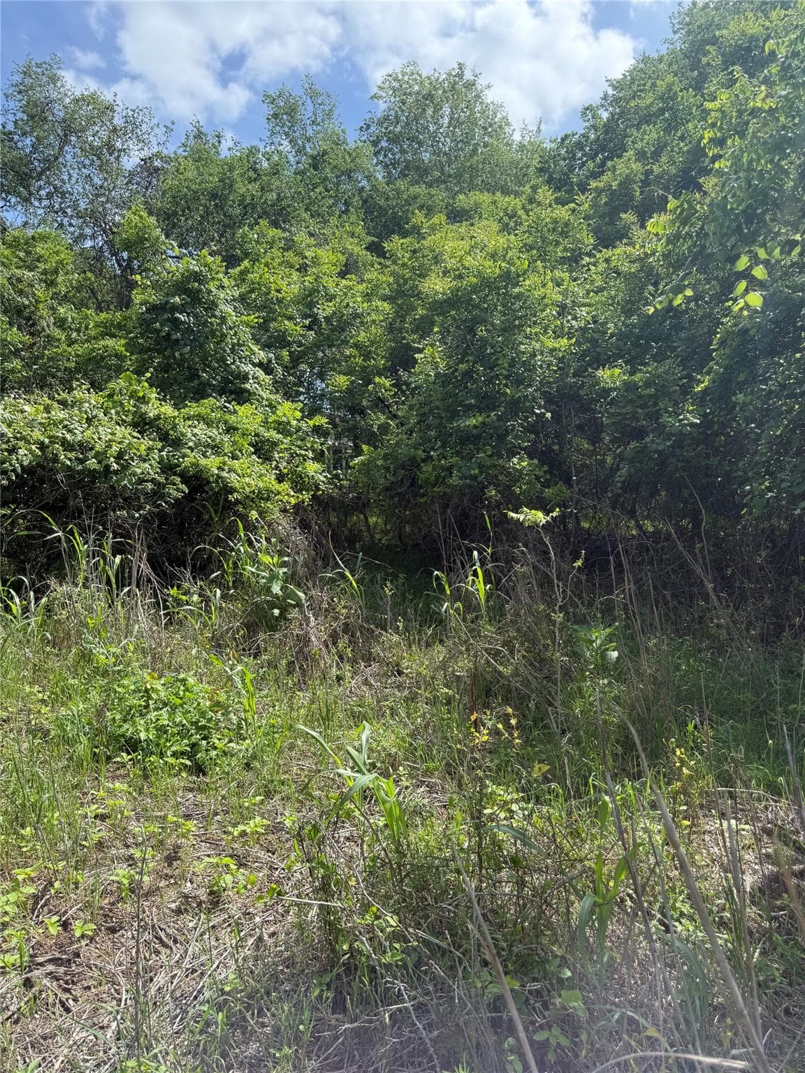 Lot 959 Riverside Dr