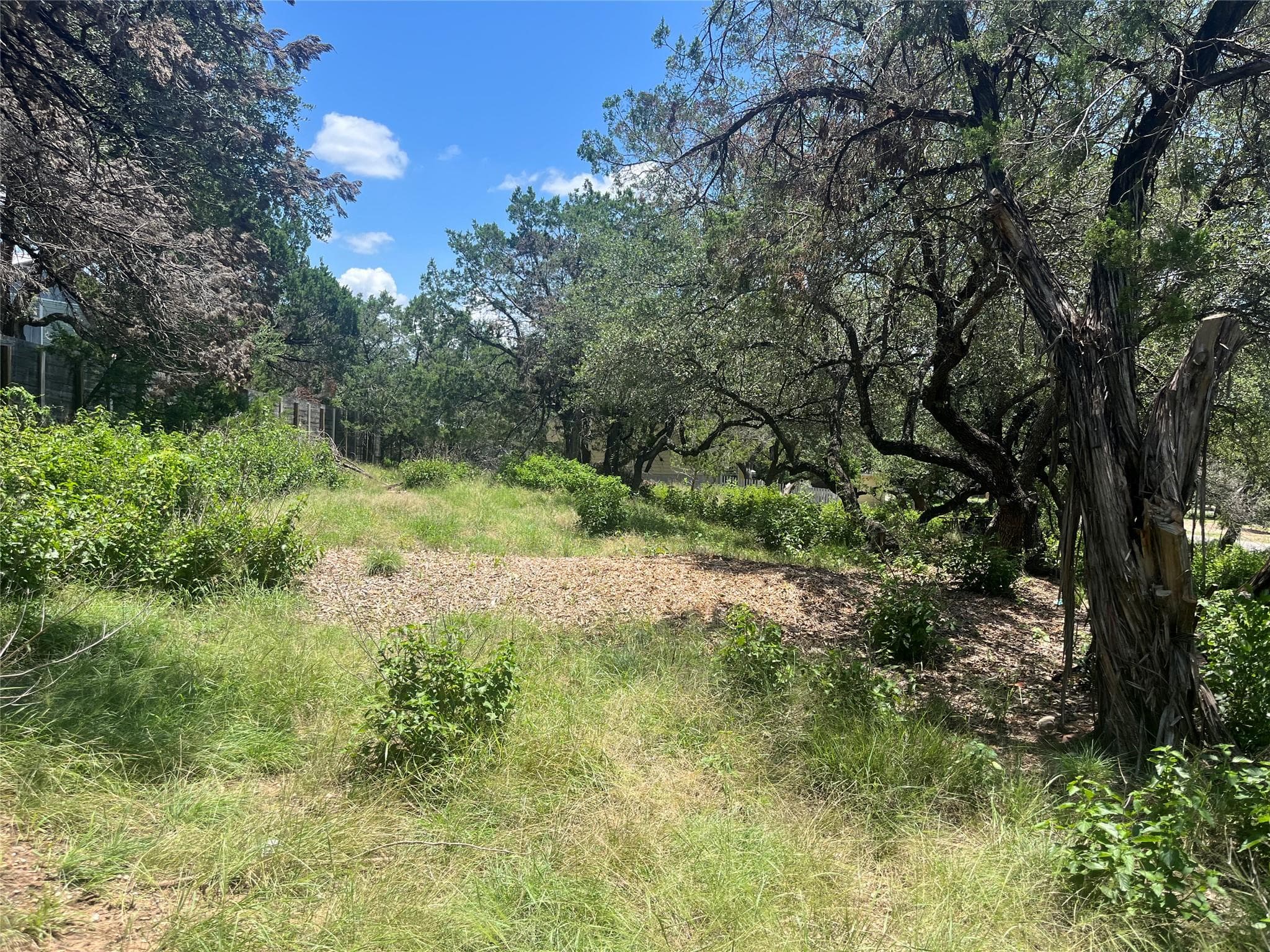 19508 Timberline Dr