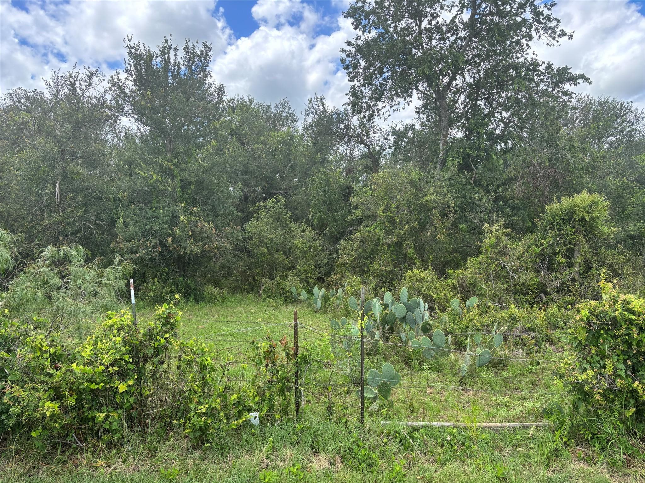 TBD CR 472 None
