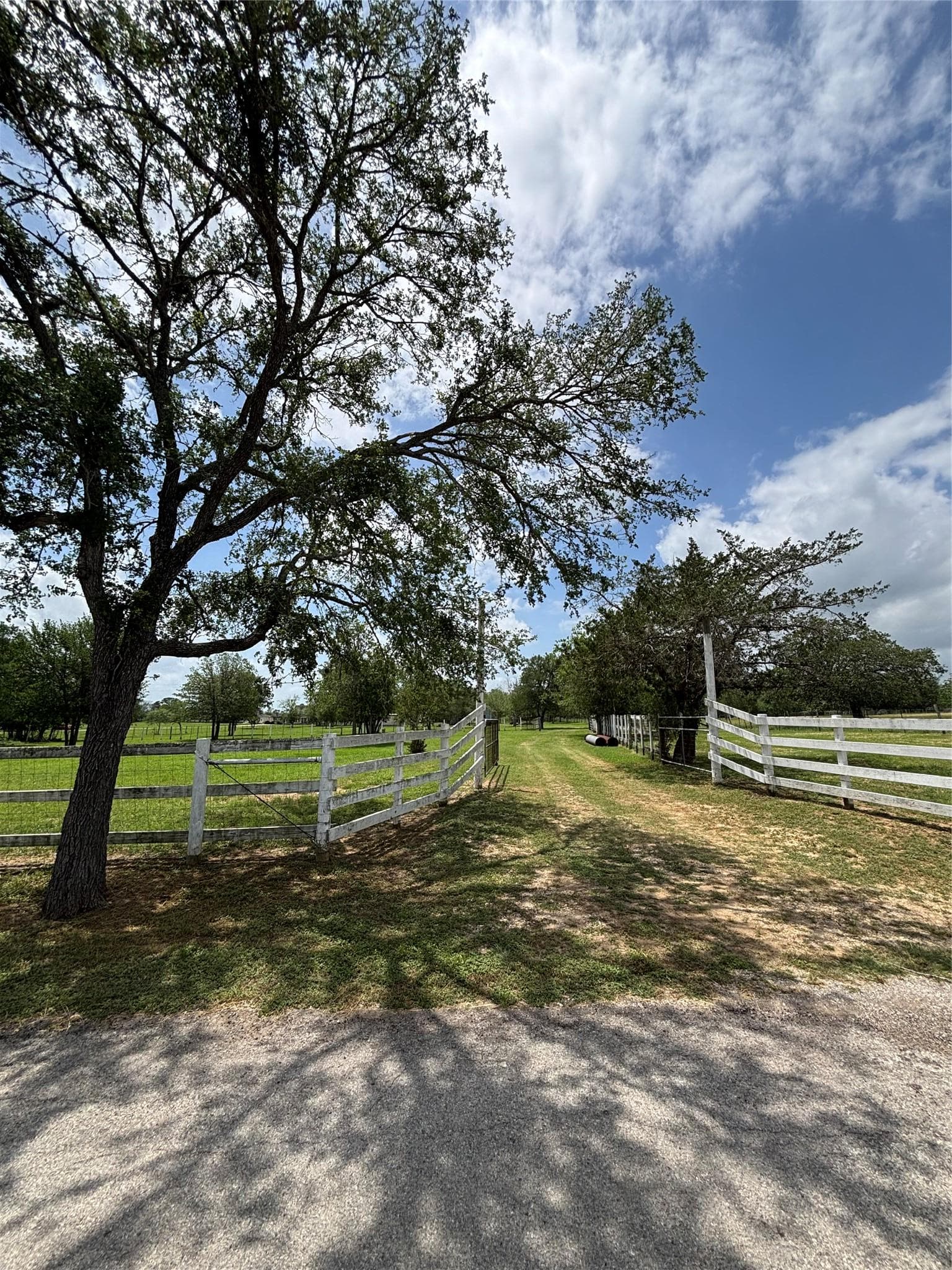 916 Rolling Oaks Dr