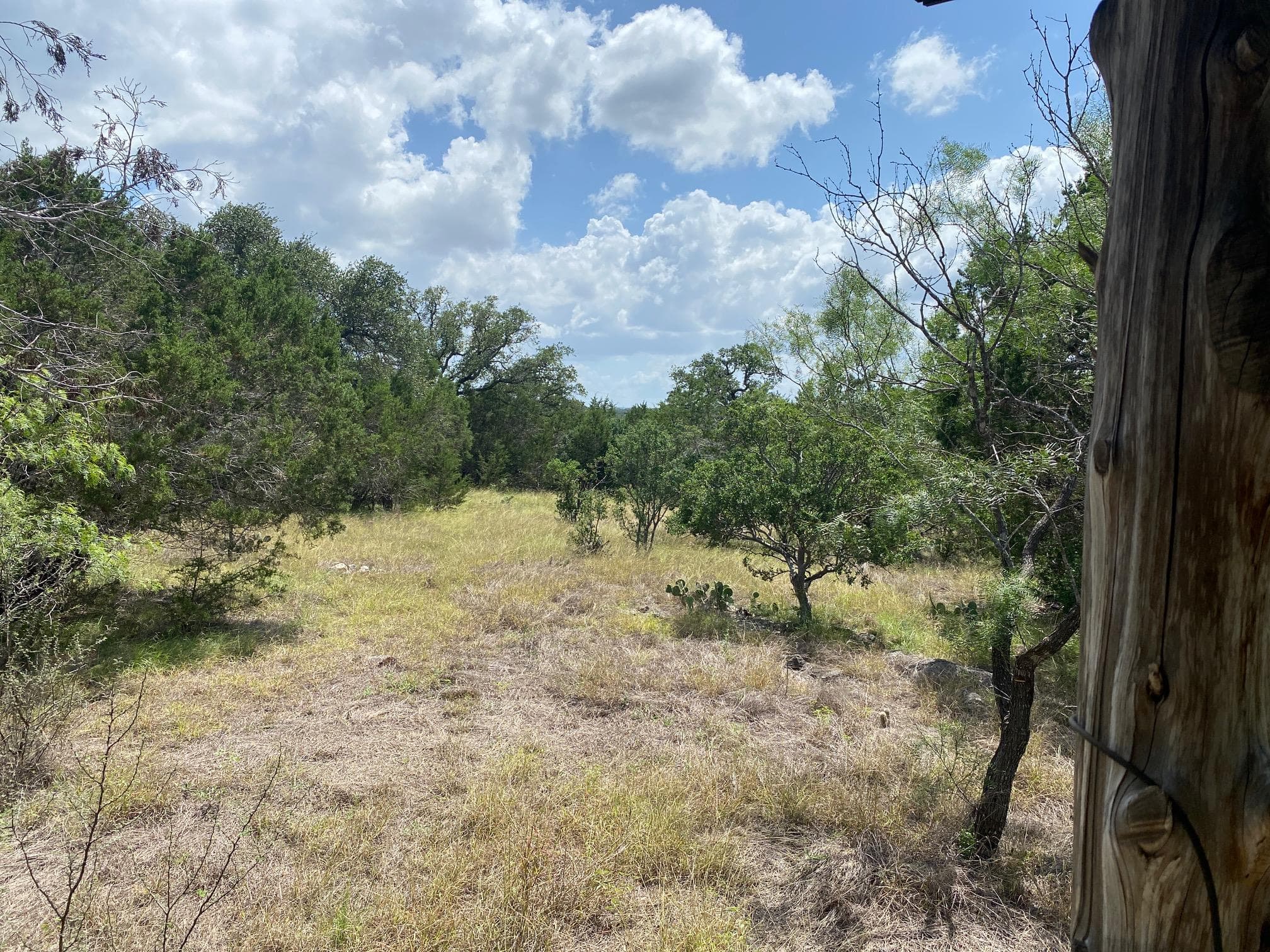 Lot 31 Pedernales Oaks Rd Rd