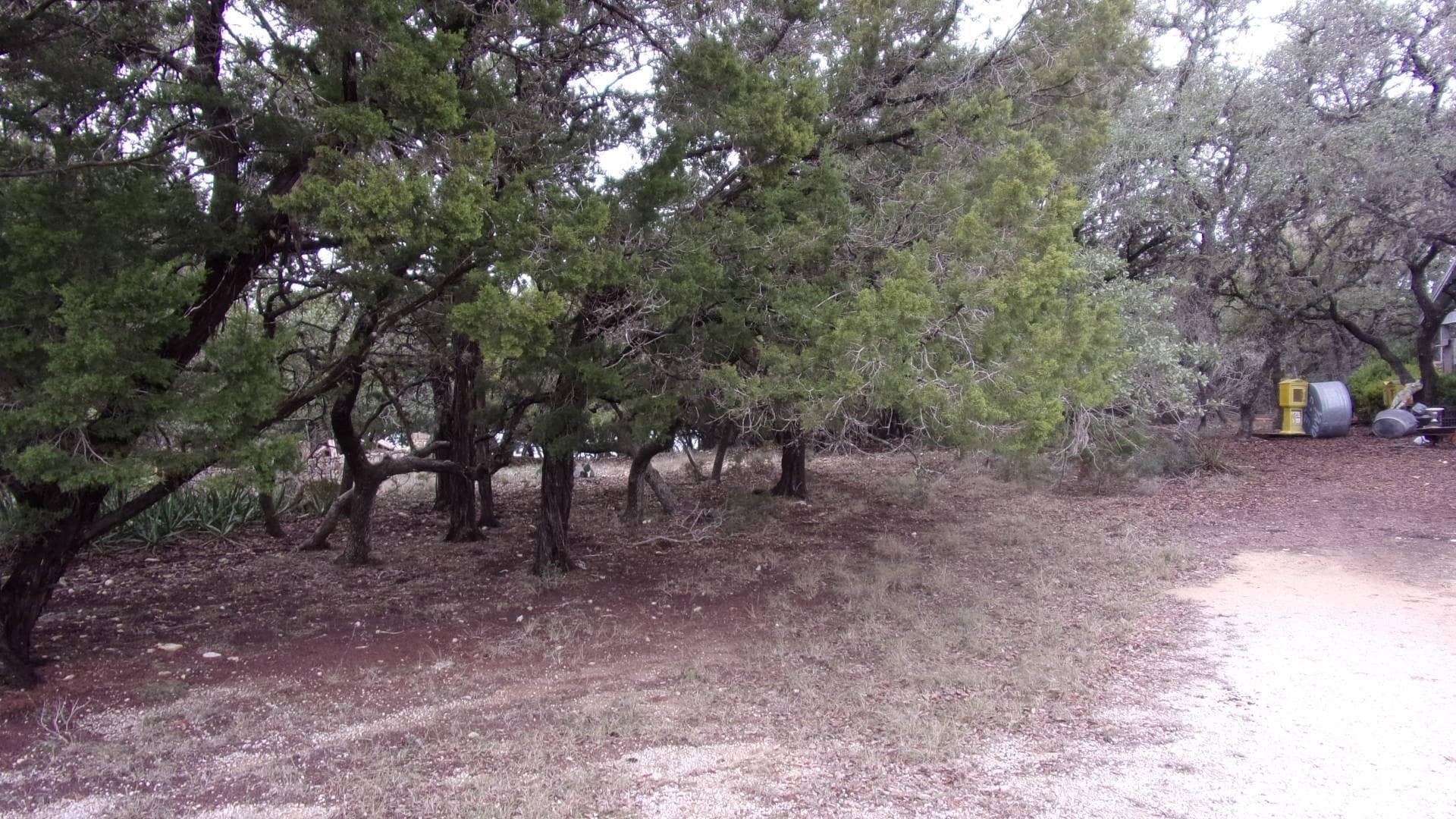 Lot 46 Mountain Wood None