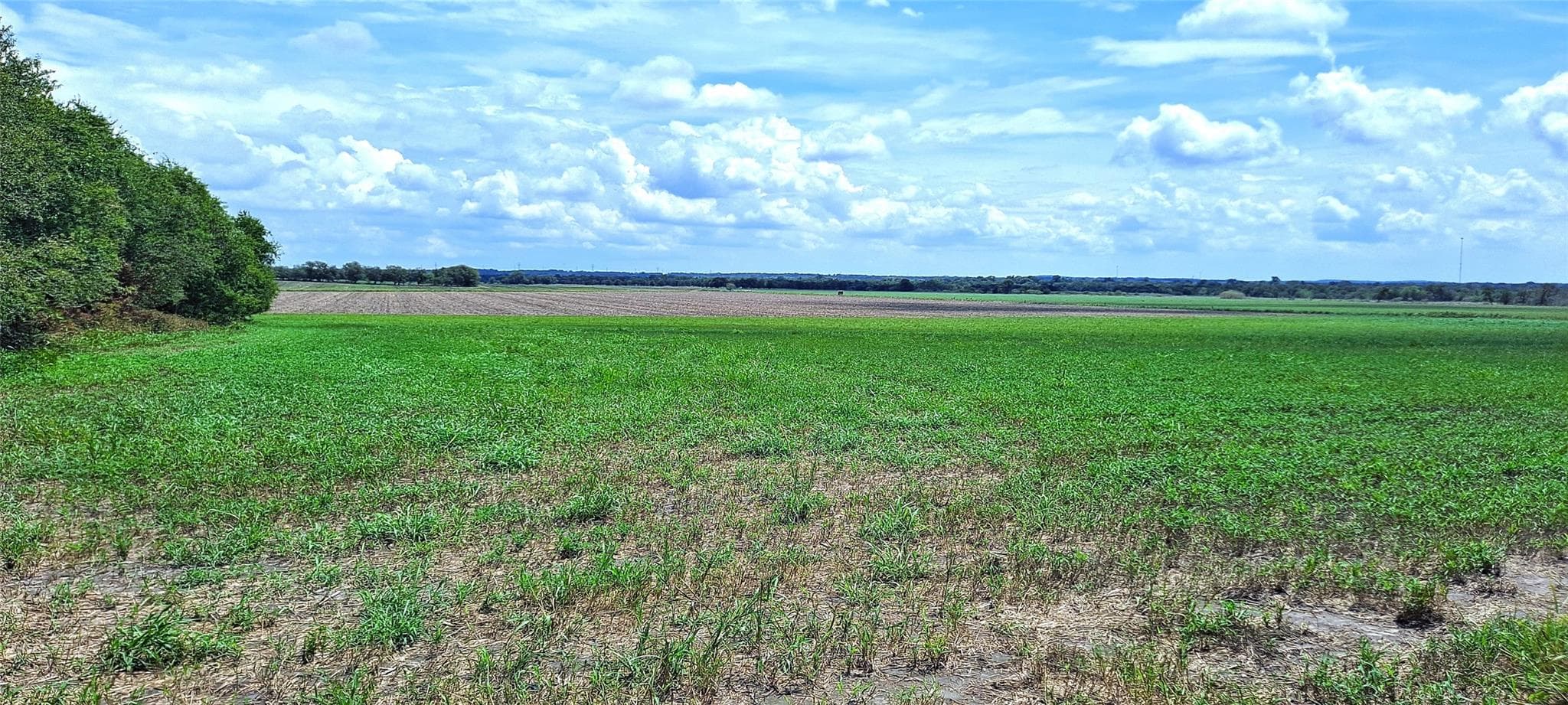 3135 CR 432 Rd