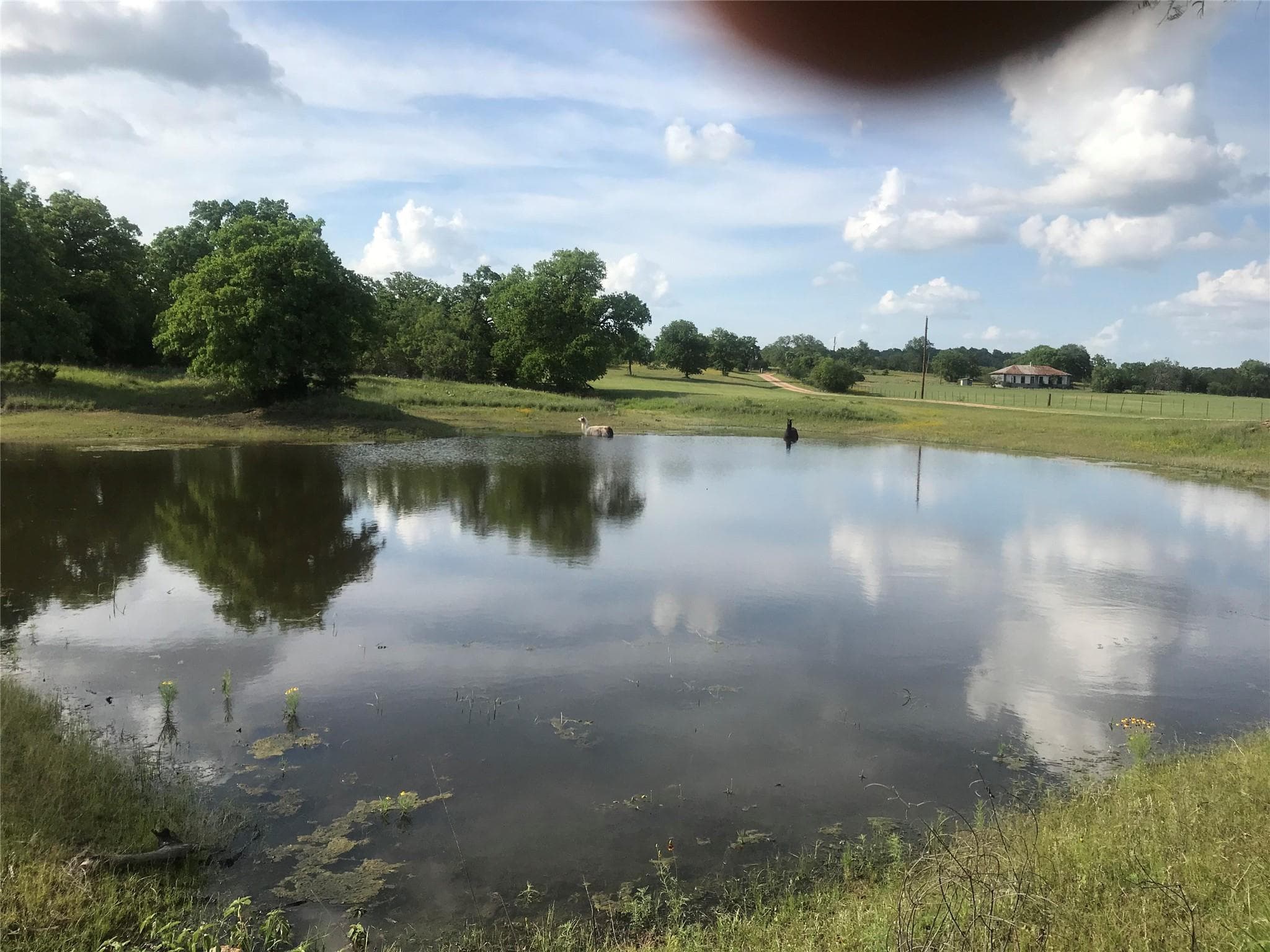504 Sandy School Rd