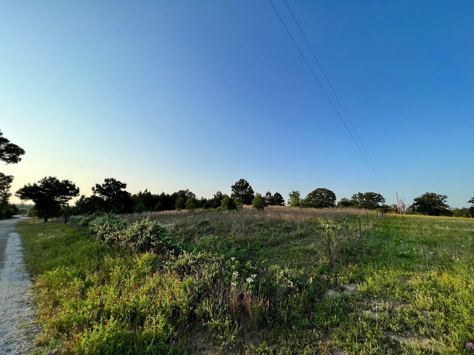Lot 27 Kinsey Rd None