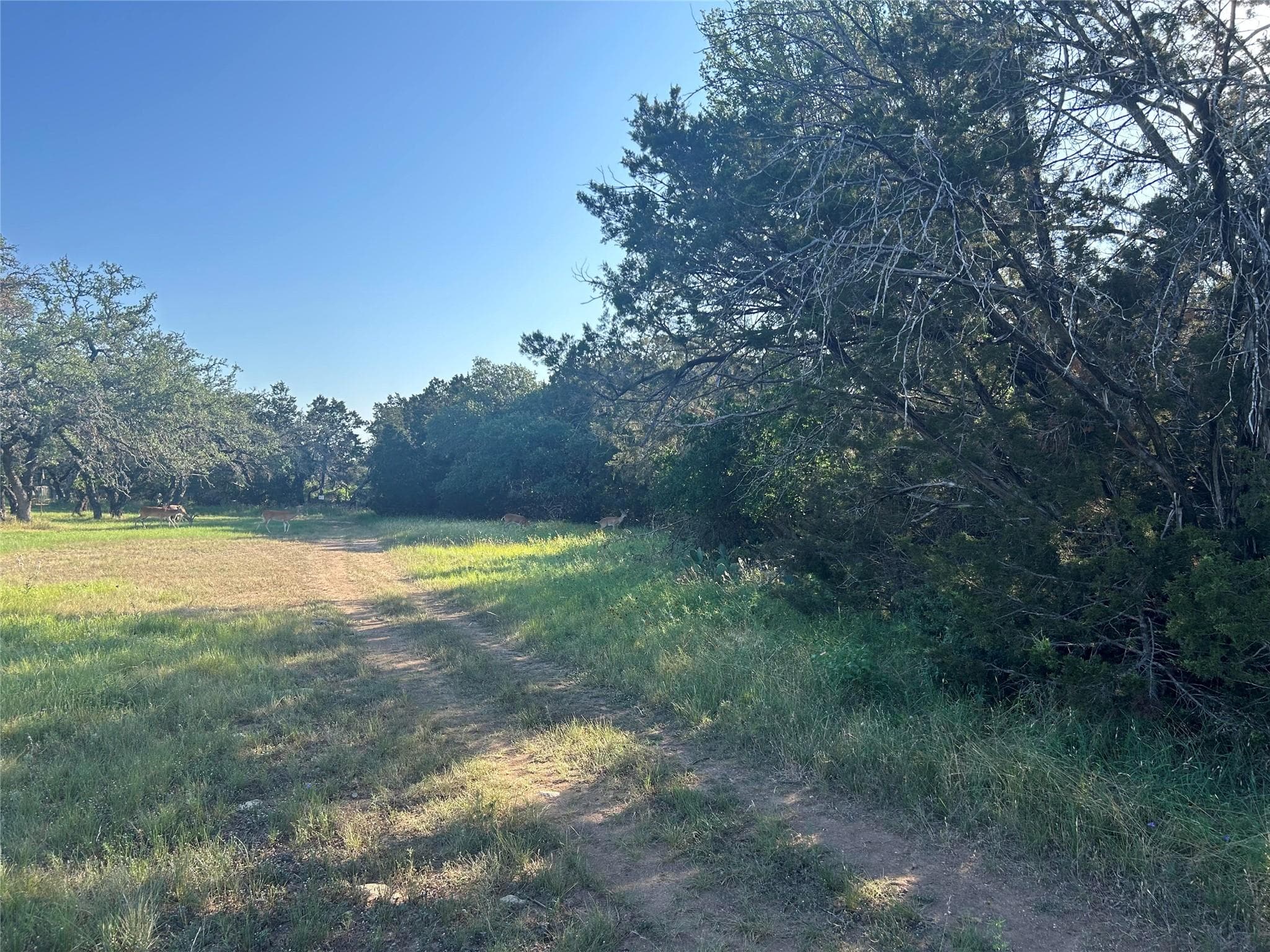 20804 Hawthorne Cv