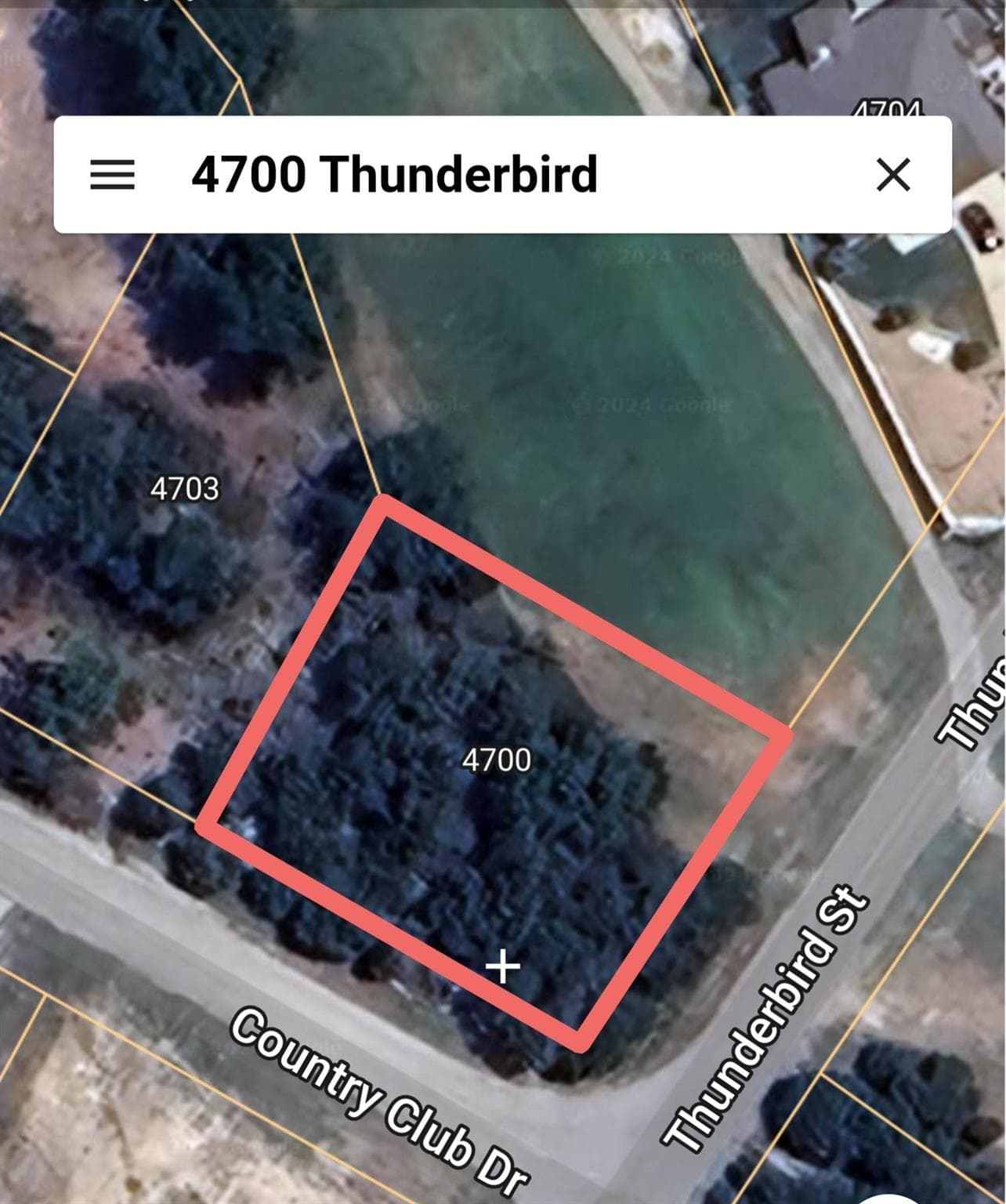 4700 Thunderbird None