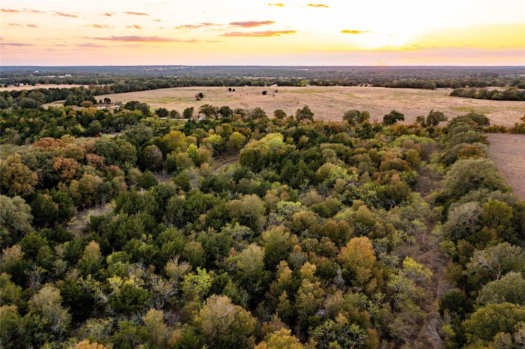 000 TBD 17+/- Ac Grassyville Rd