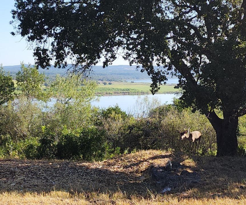 113 (Lot 3B) Hill Loop