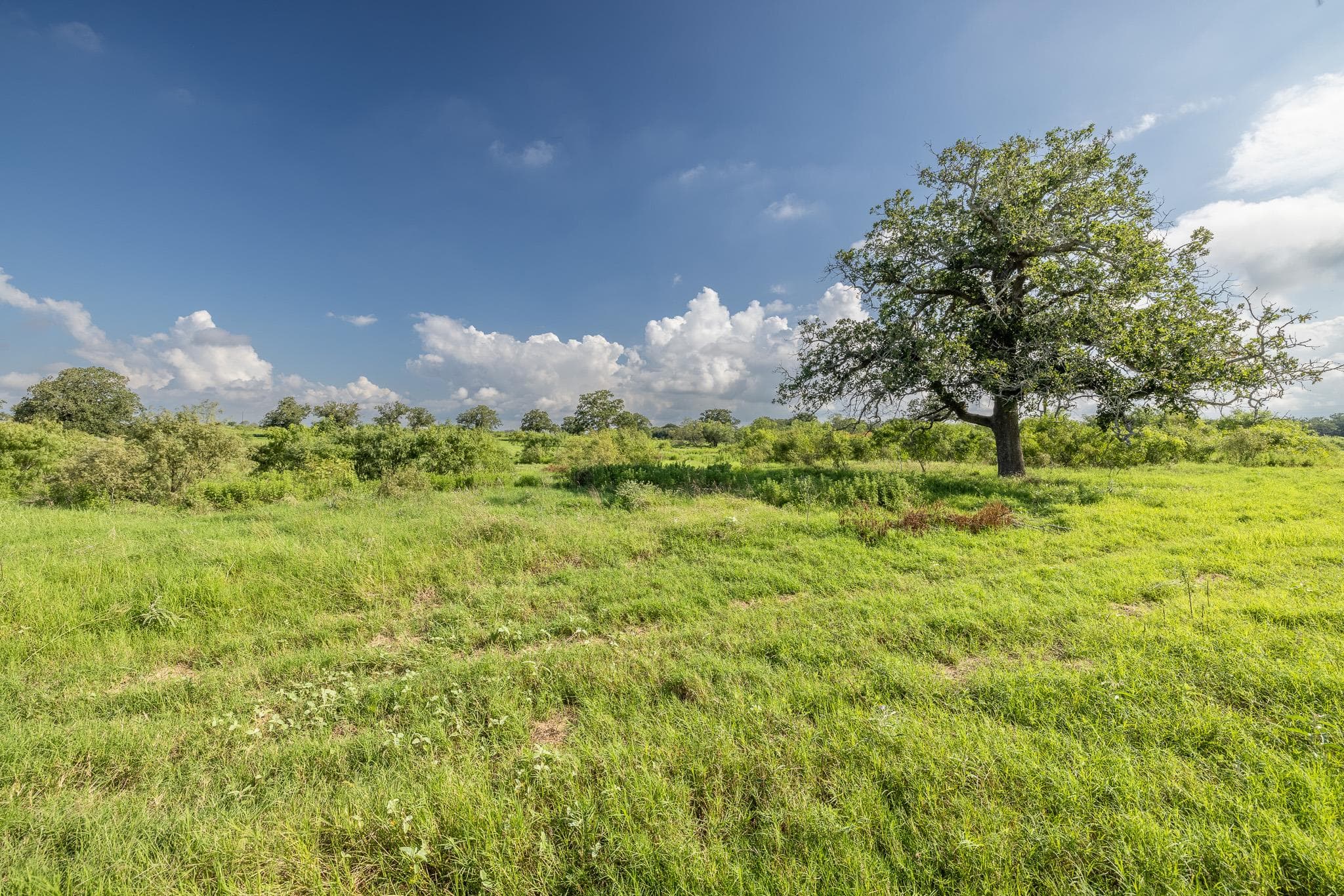 Lot 1-B County Road 491 None