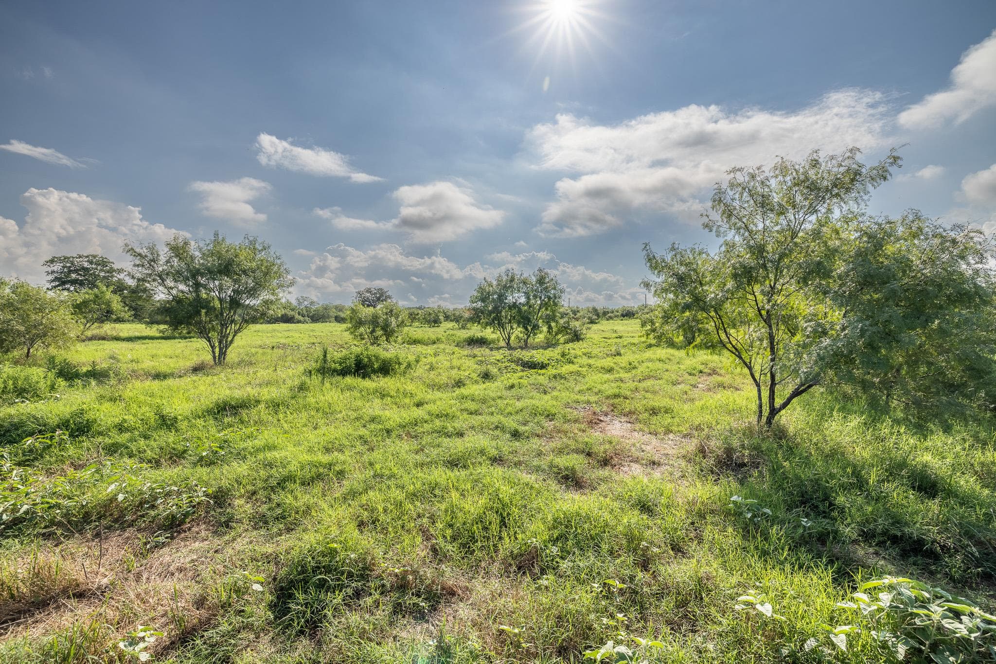 Lot 1-C County Road 491 None