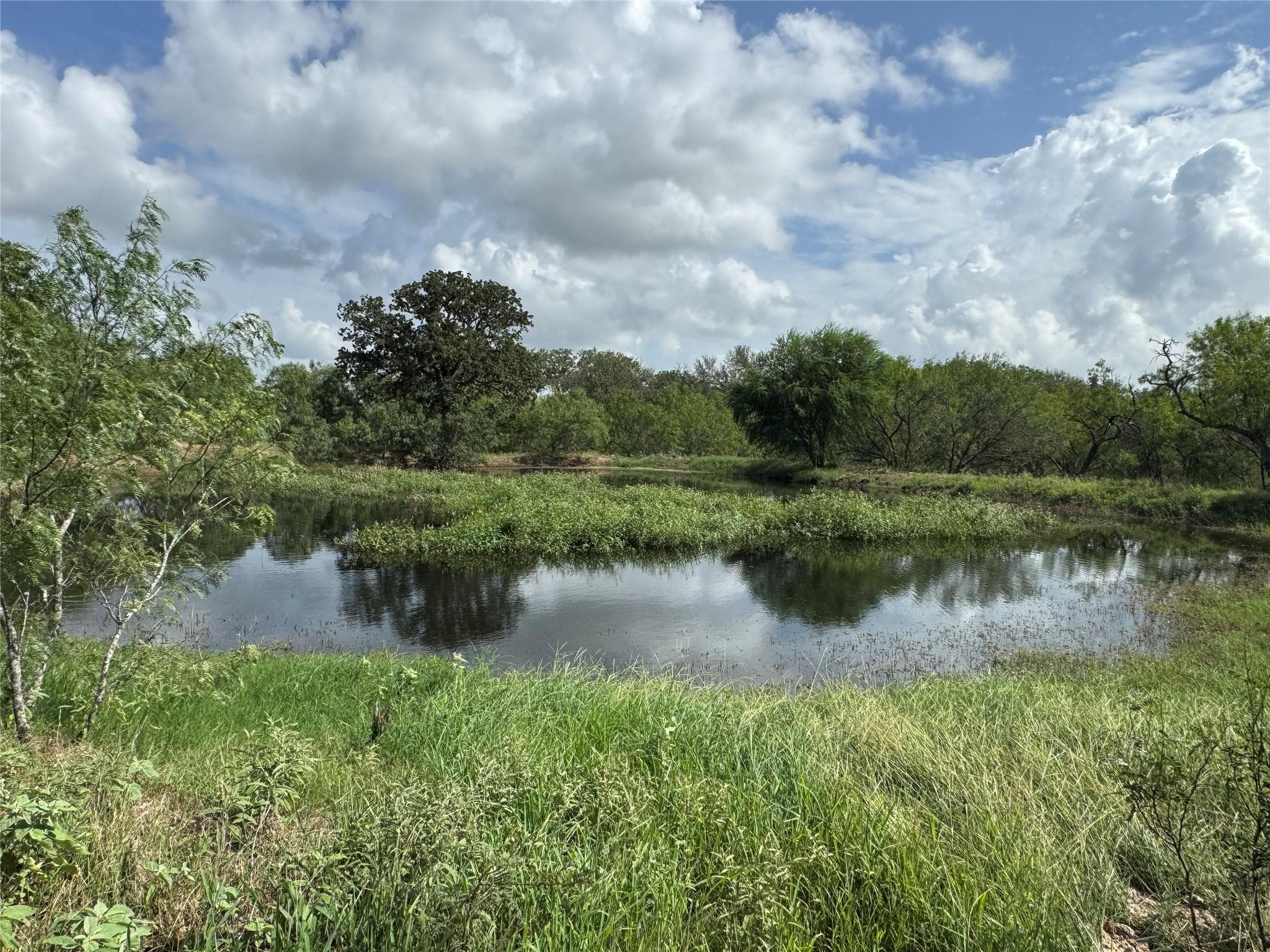 Lot 1-E County Road 491 None