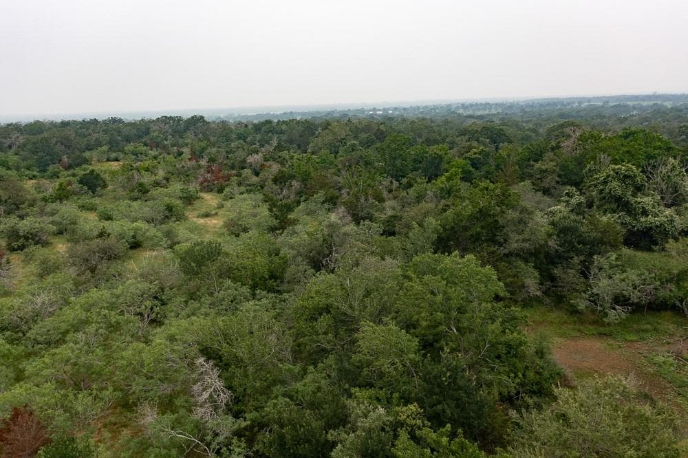 LOT 2 Private Road 4601 None