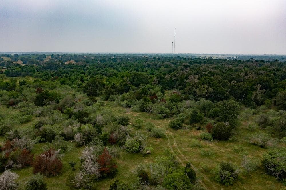 LOT 3 Private Road 4601 None