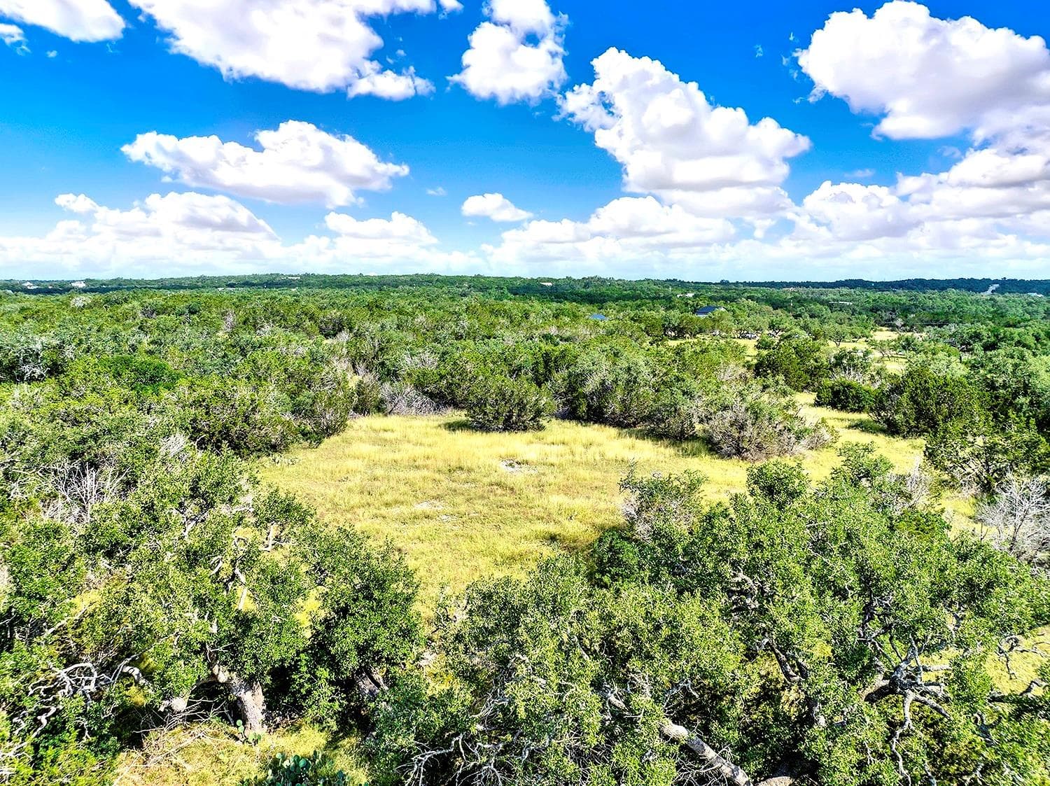 TBD Oakwood Loop