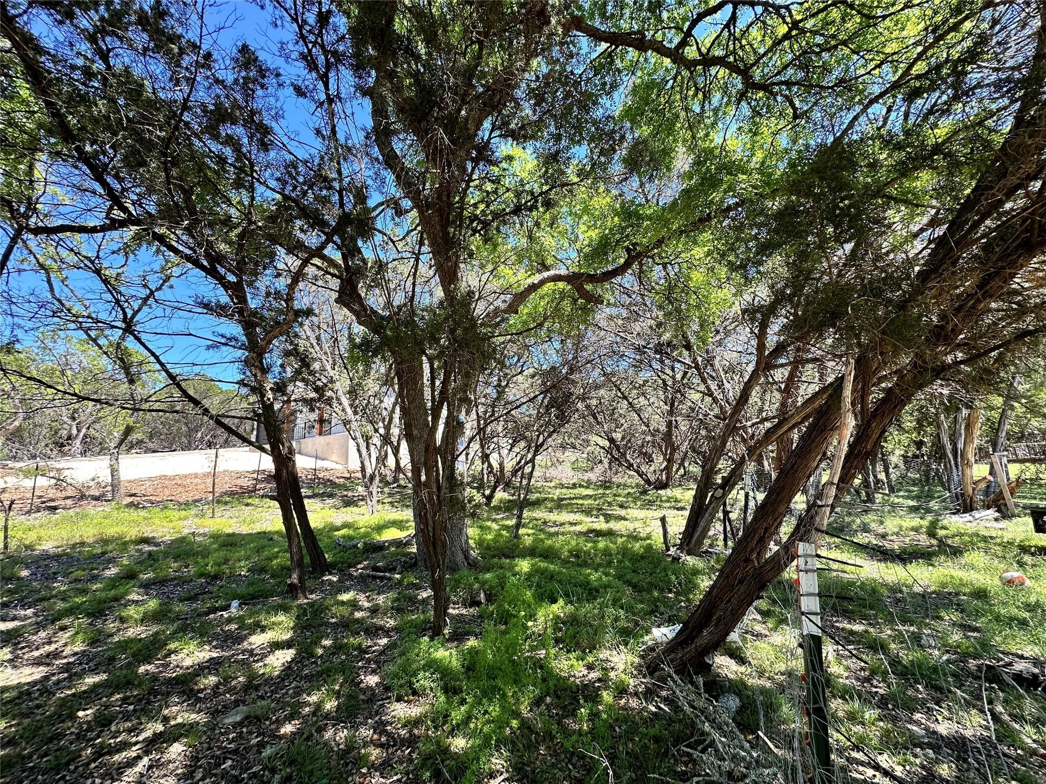 TBD Mimosa St