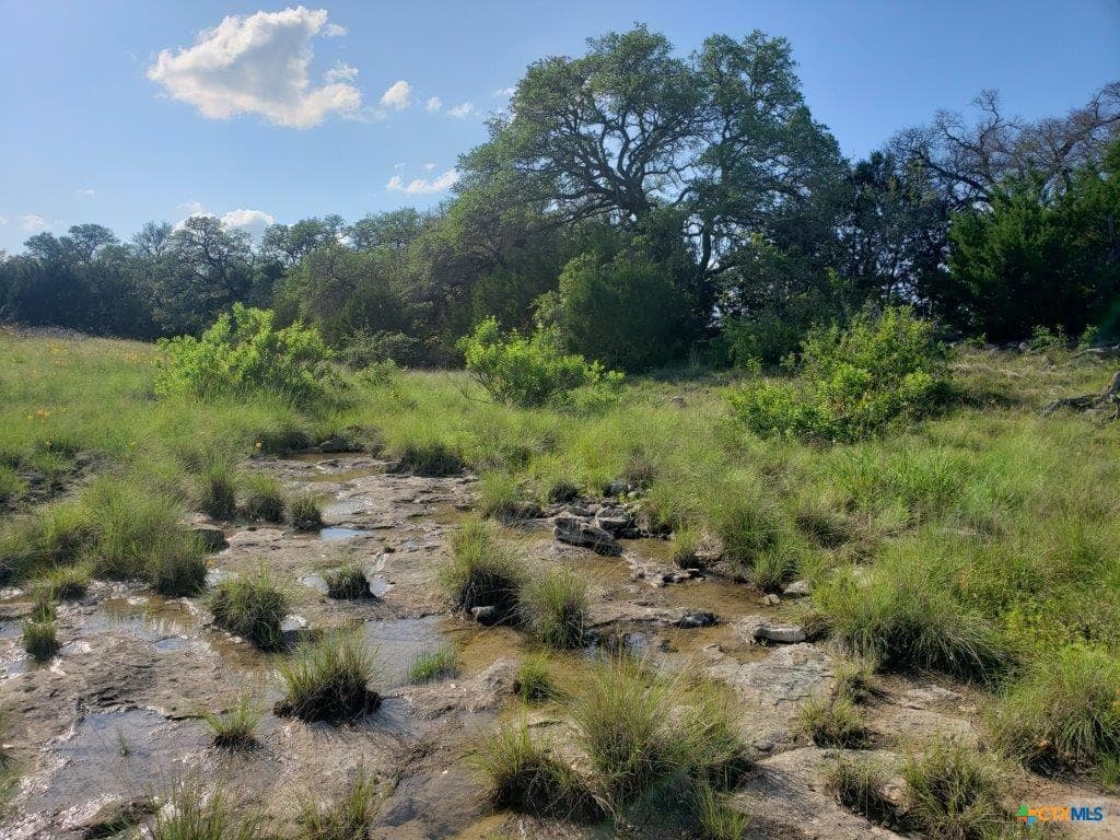 Lot 4 CR 1255 Pitt Creek Ranch None