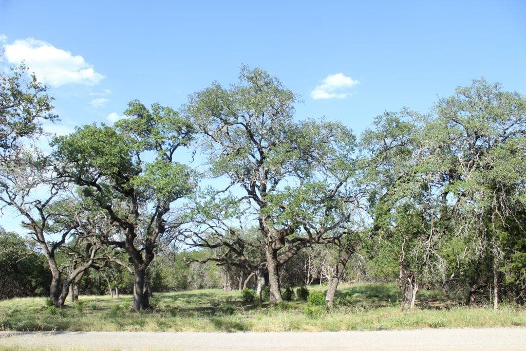 Lot-56 Travis Oaks Drive Dr