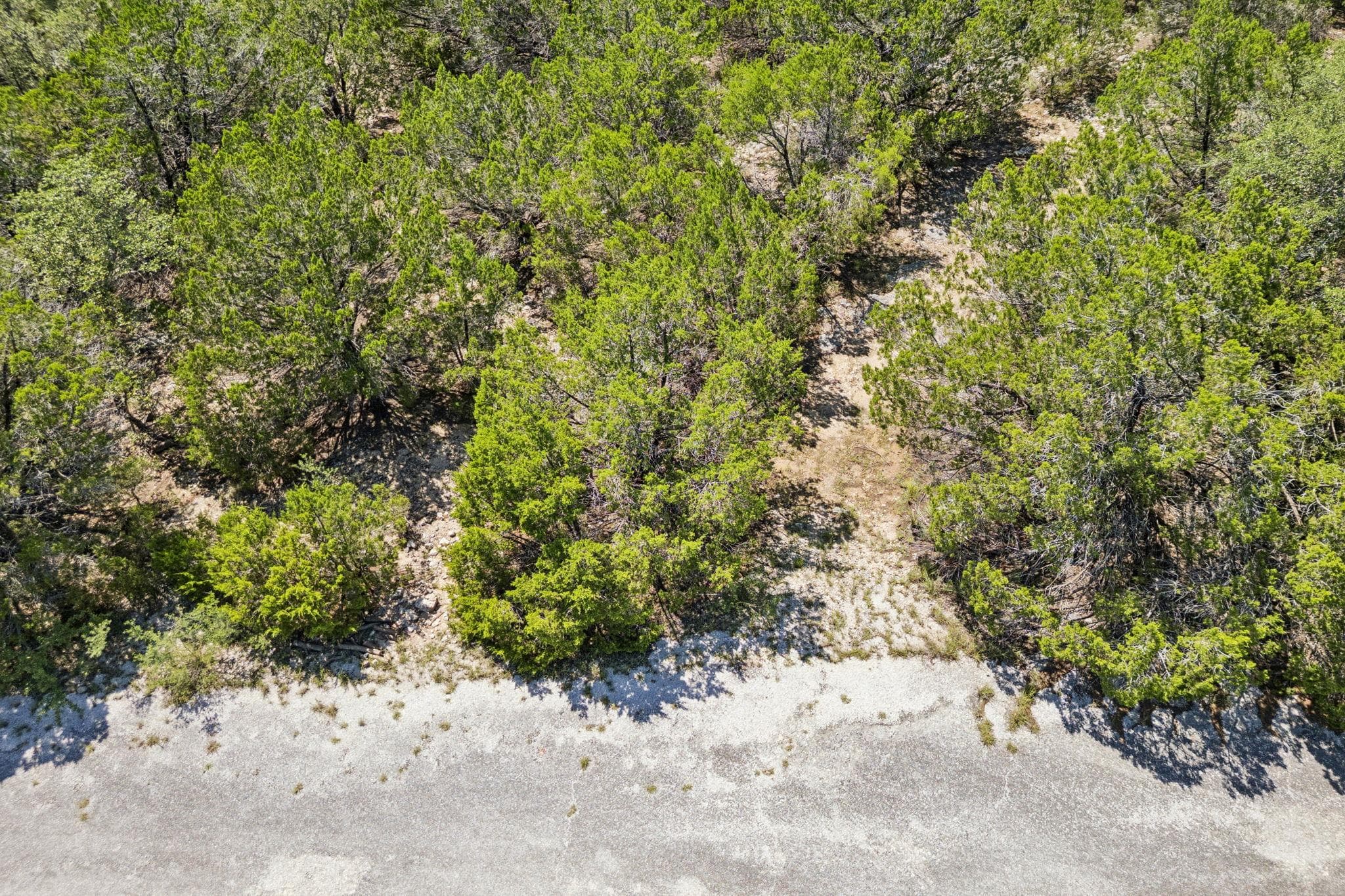 8404 Cedar Glen Cv