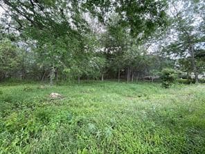 204 Crest Dr