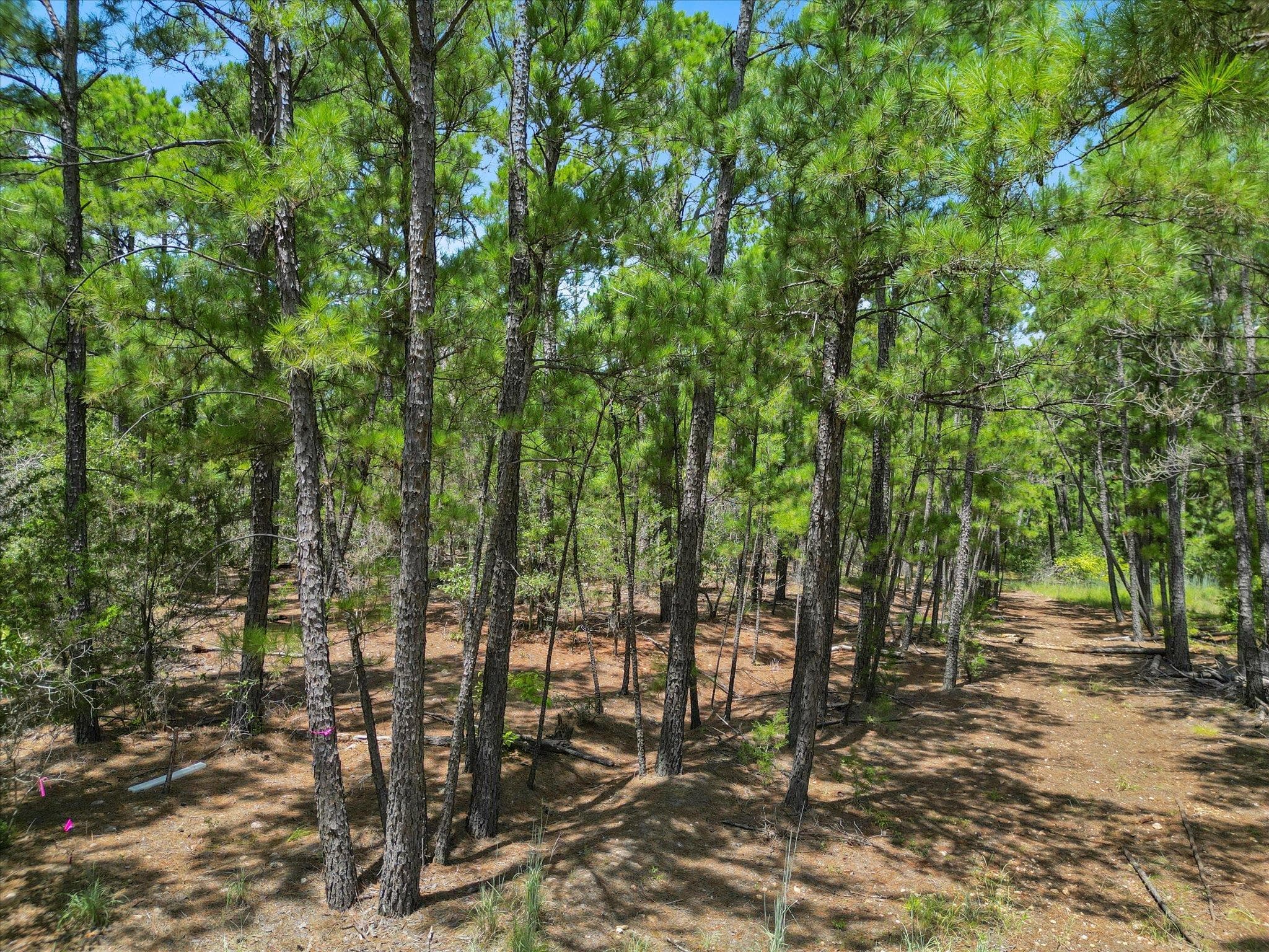 Lot 56 Akala Ln