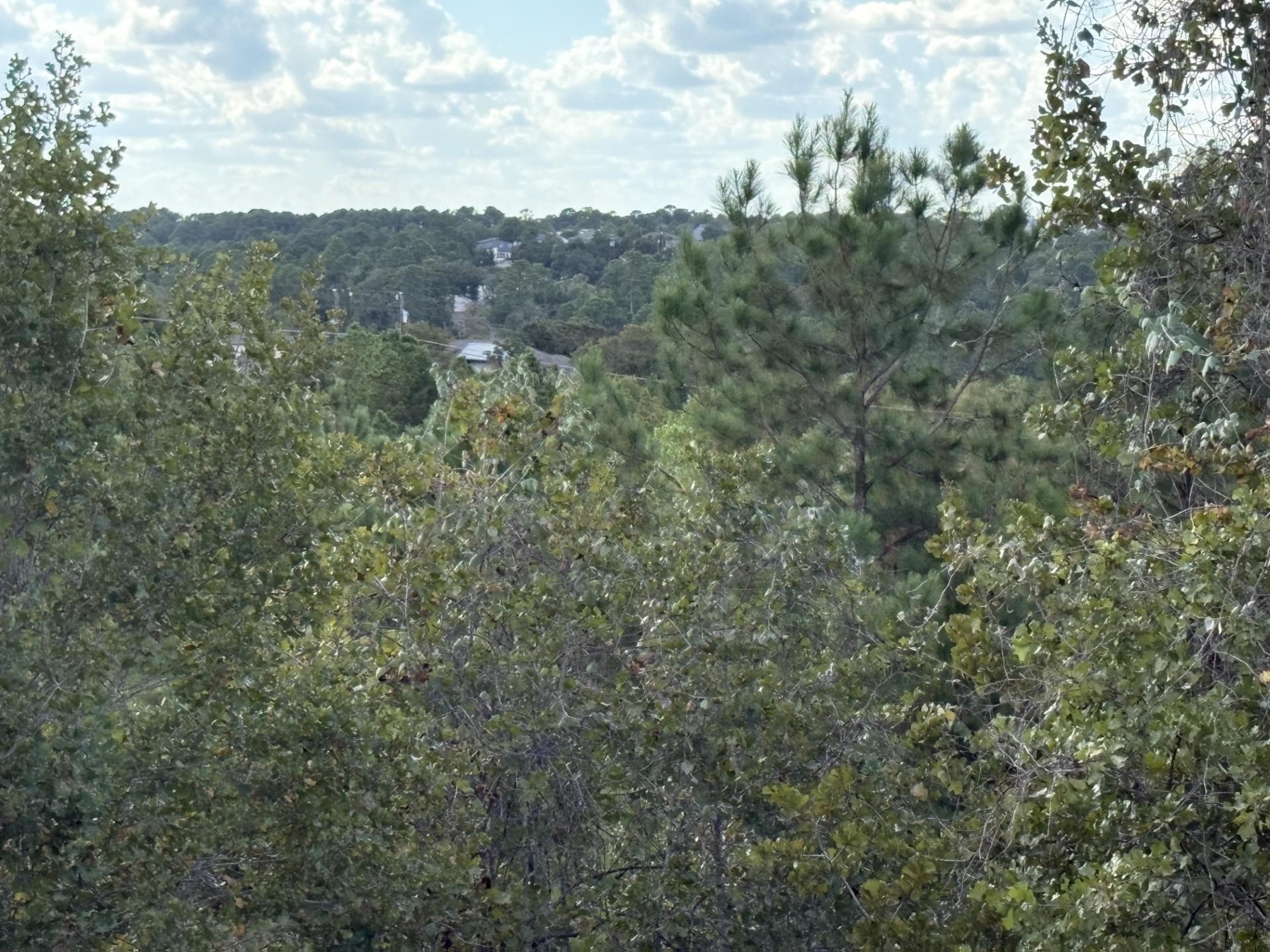 TBD Lot 35 Pinecrest Dr