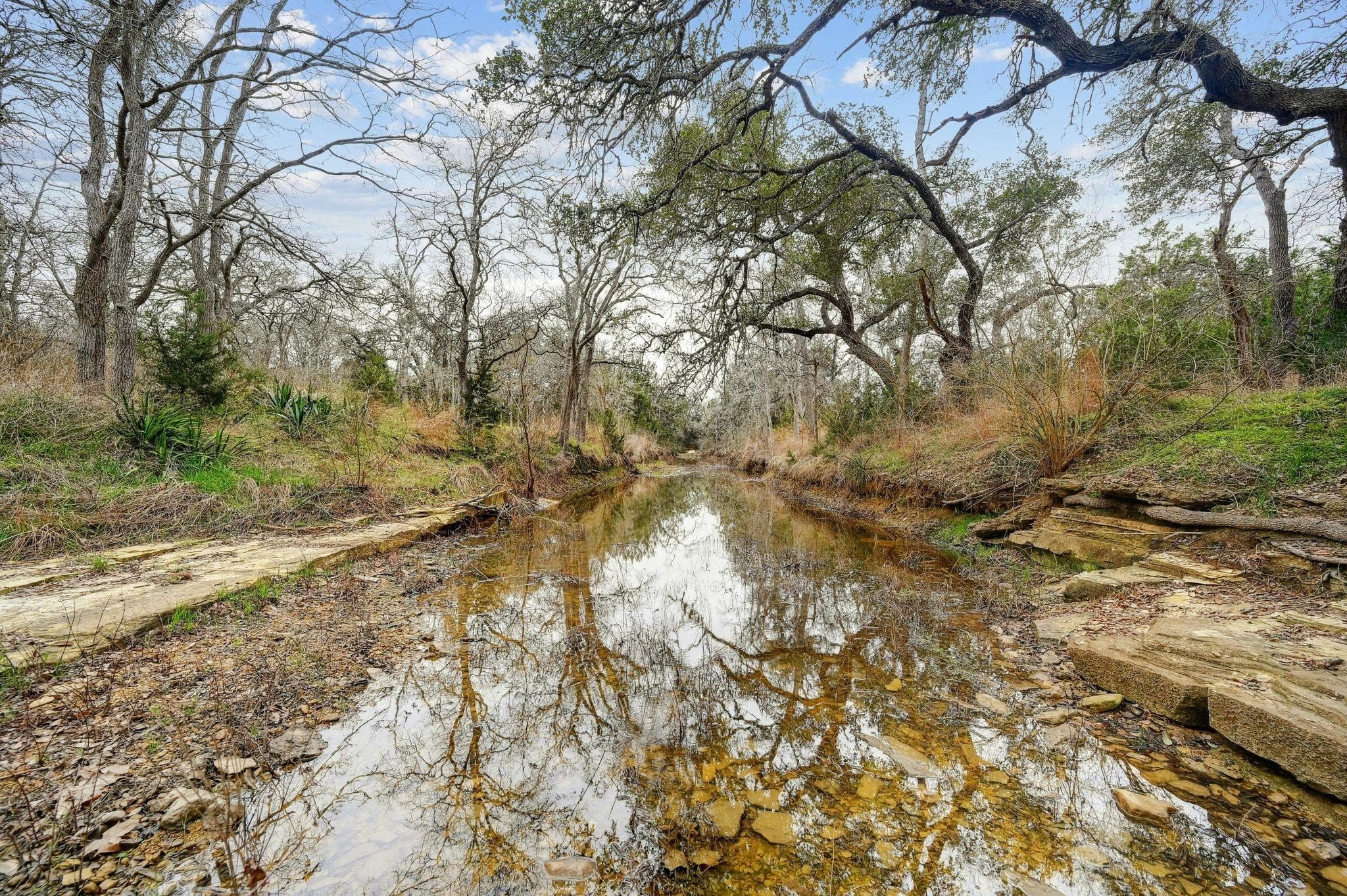 2147 TEJAS TRAIL None