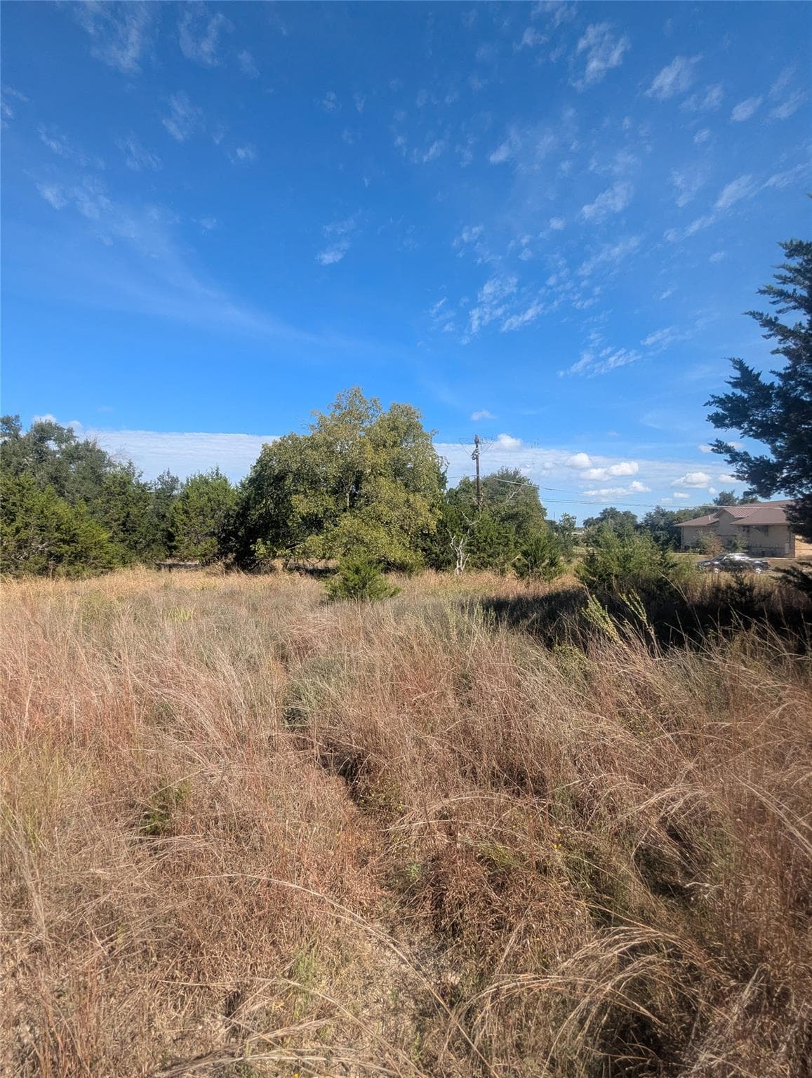 201 Springlake Dr