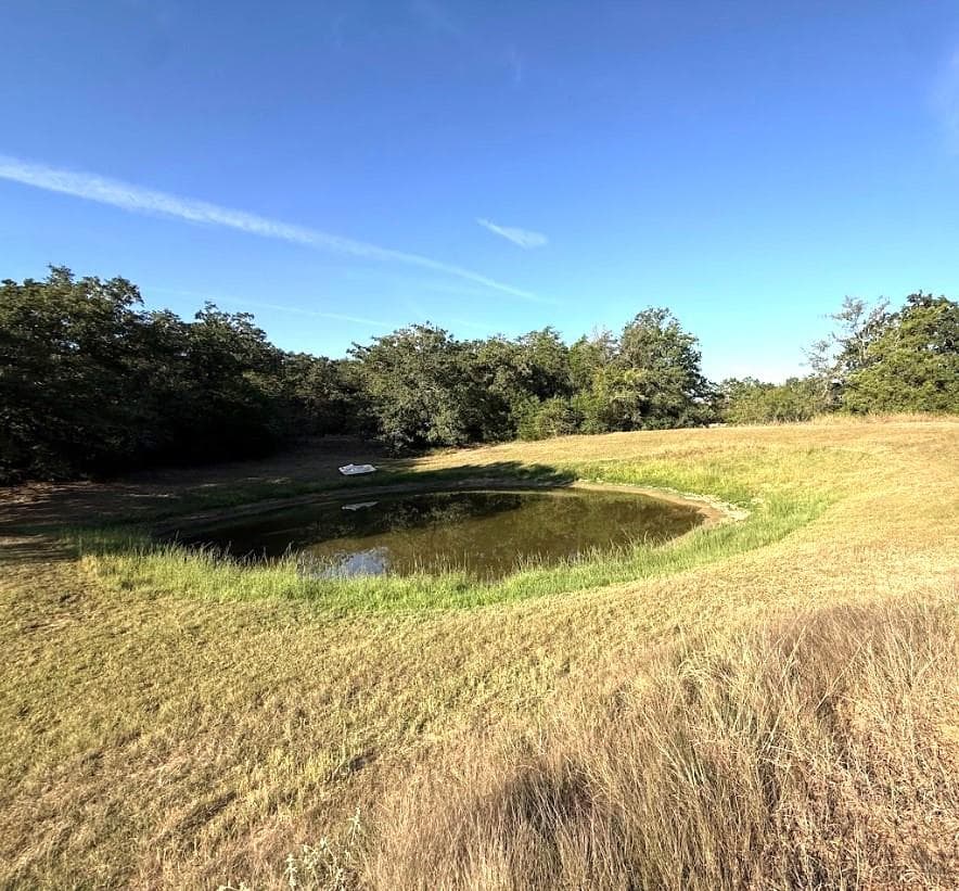 1127 County Road 234 Rd