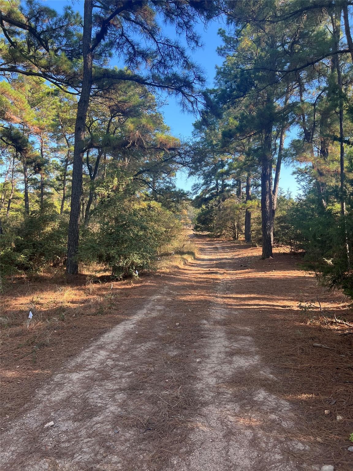 Lot 43 Pine Lodge Dr