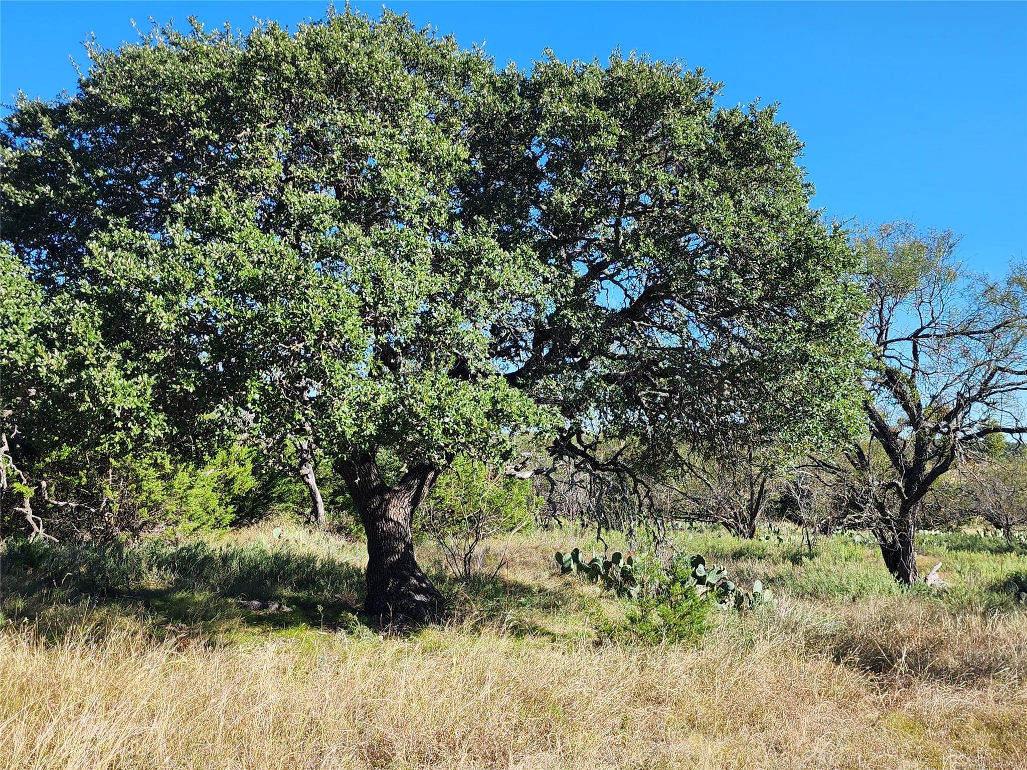 Lot 73 Shin Oak Dr