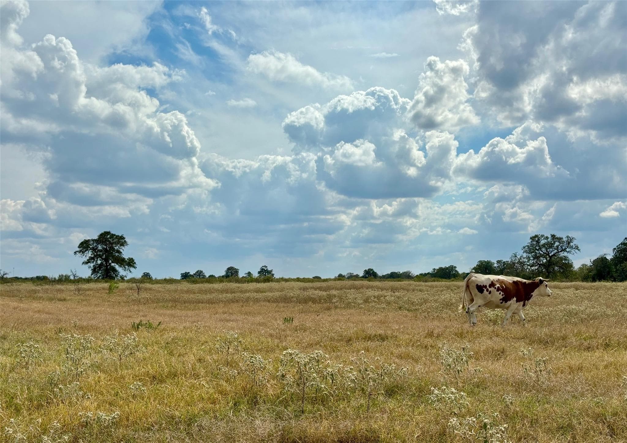 3 Big Sky Ranch Rd