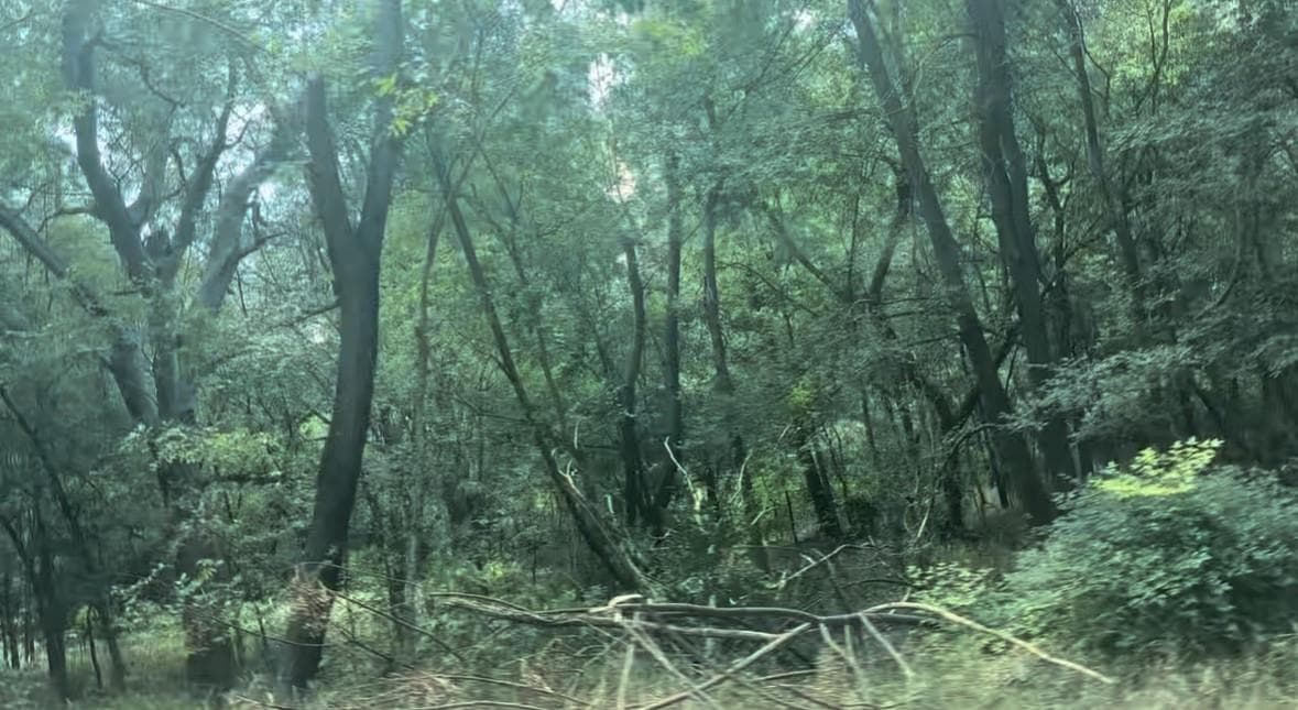 4202 Kings Ct