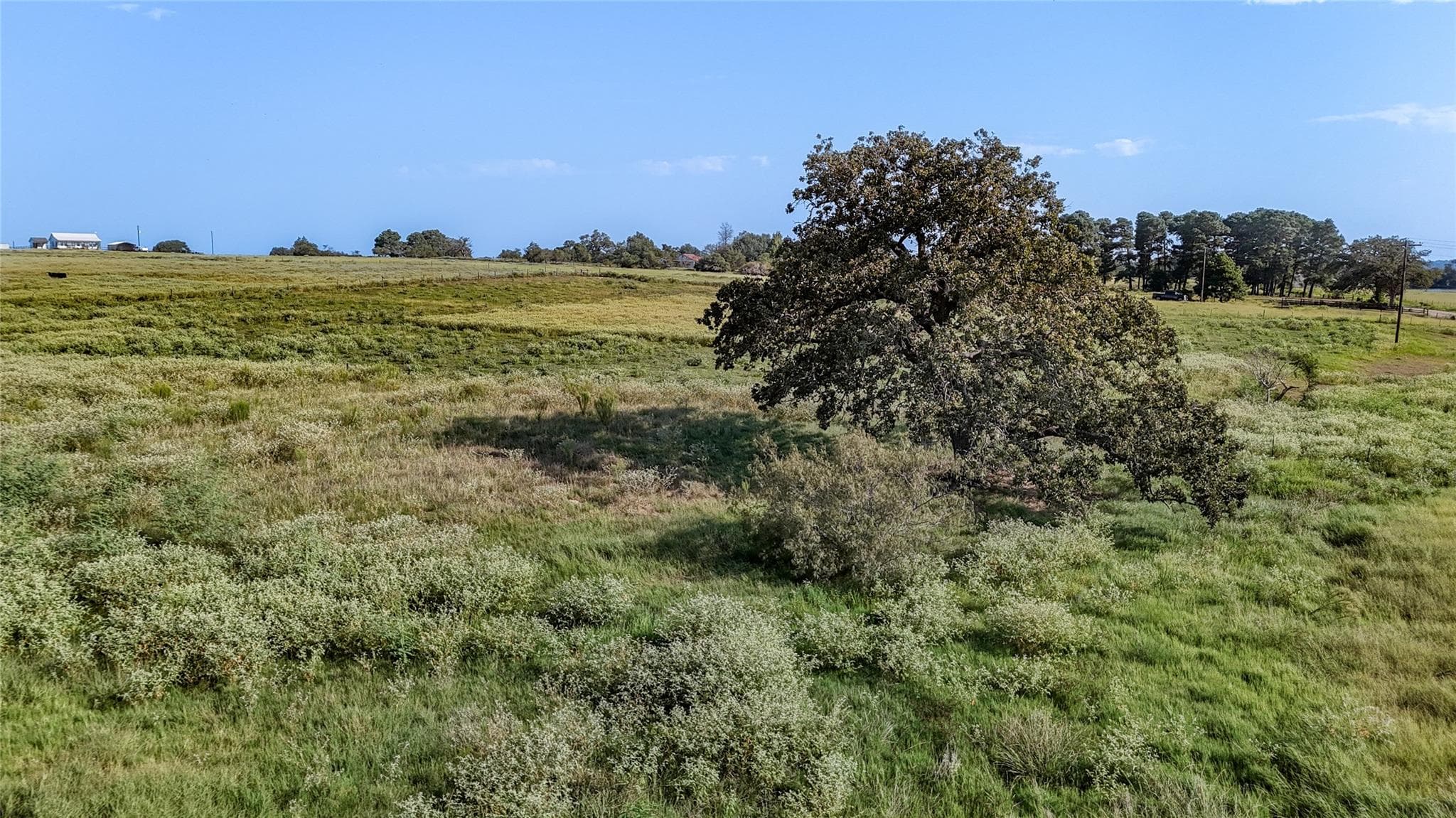 TBD County Road 326 (Tract 3) None