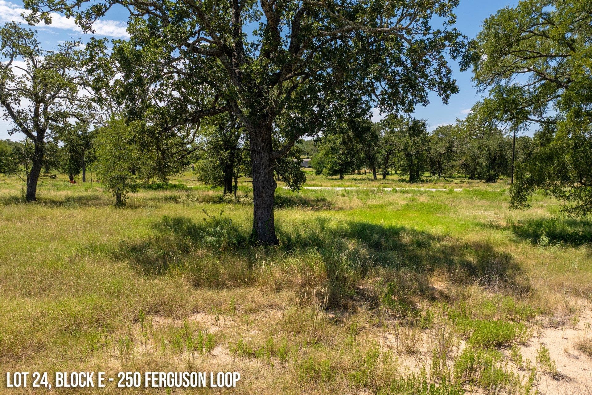 250 Ferguson Loop