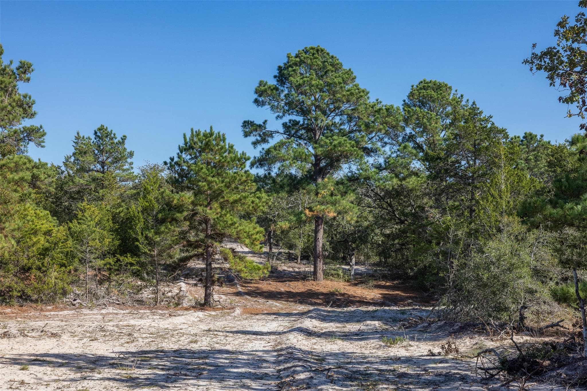 555 Altamira Ln