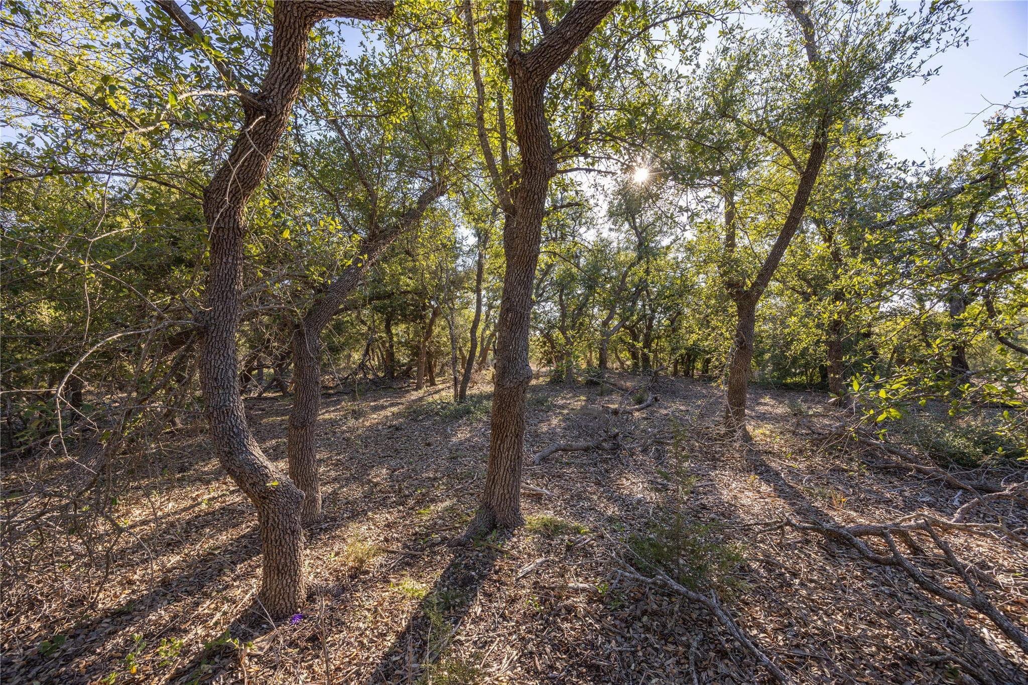 130 Panorama Dr