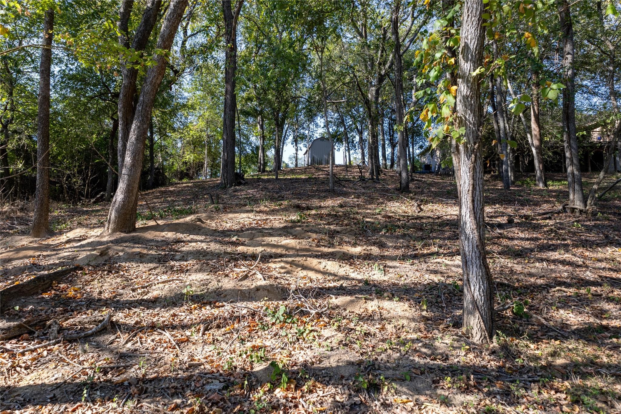 314 Red Bird Ln