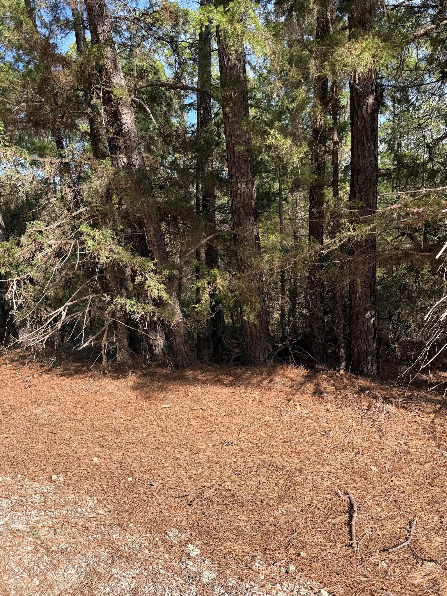 Lot 266 Wainee Dr