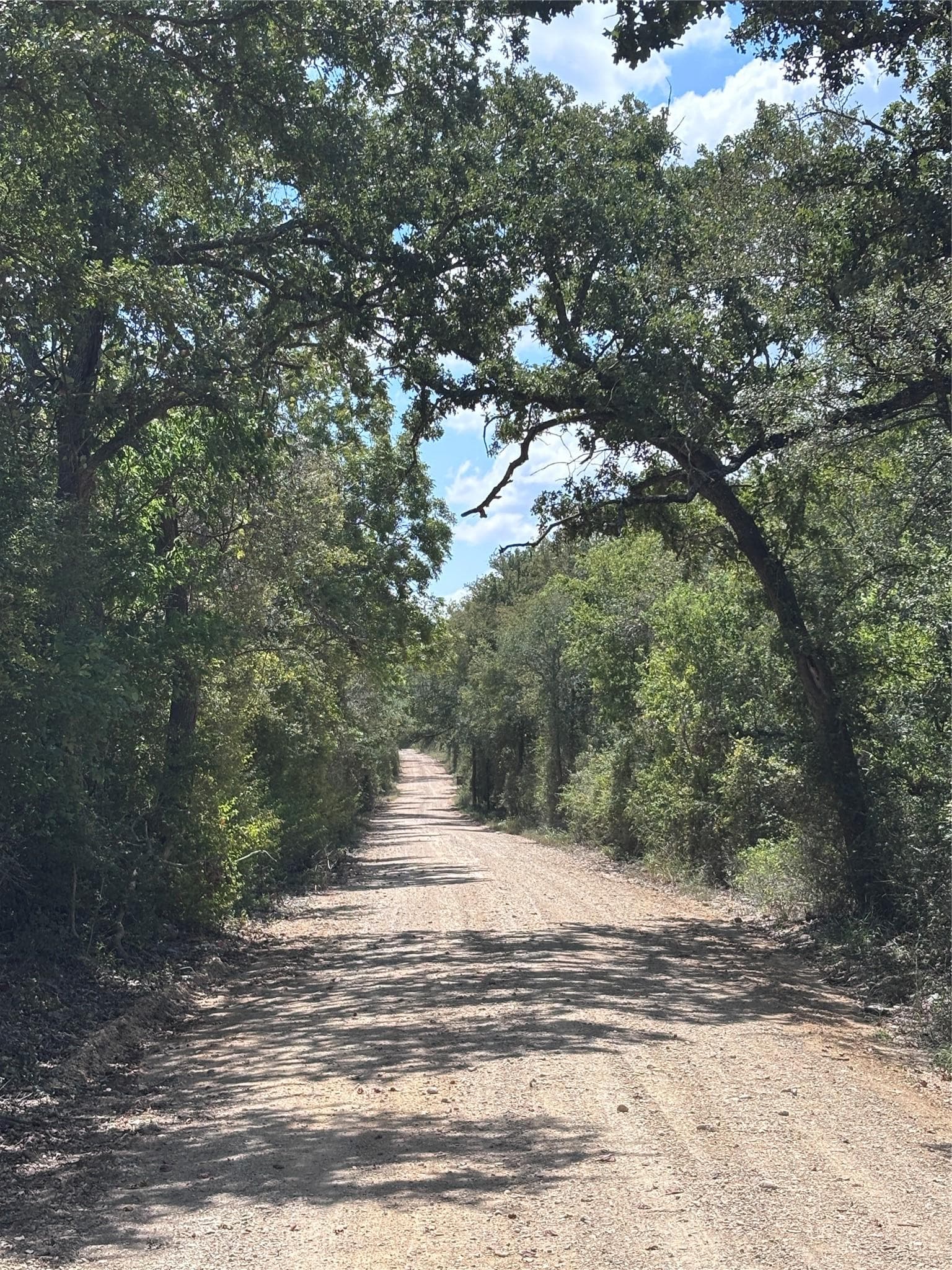 TBD 10.04 AC County Road 413 None