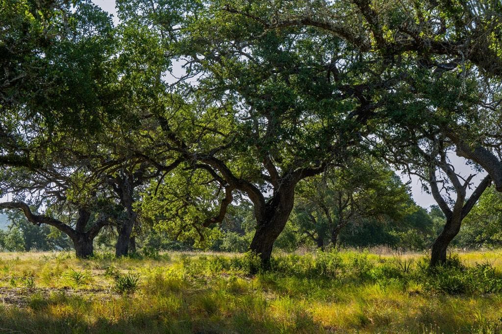 Lot 8 Tuscany Dr