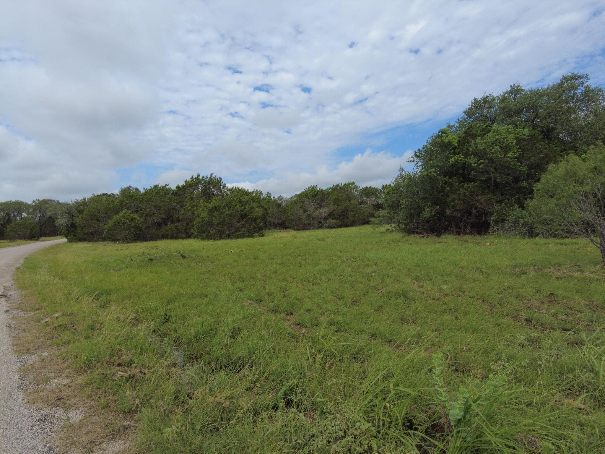TBD CR 206 None