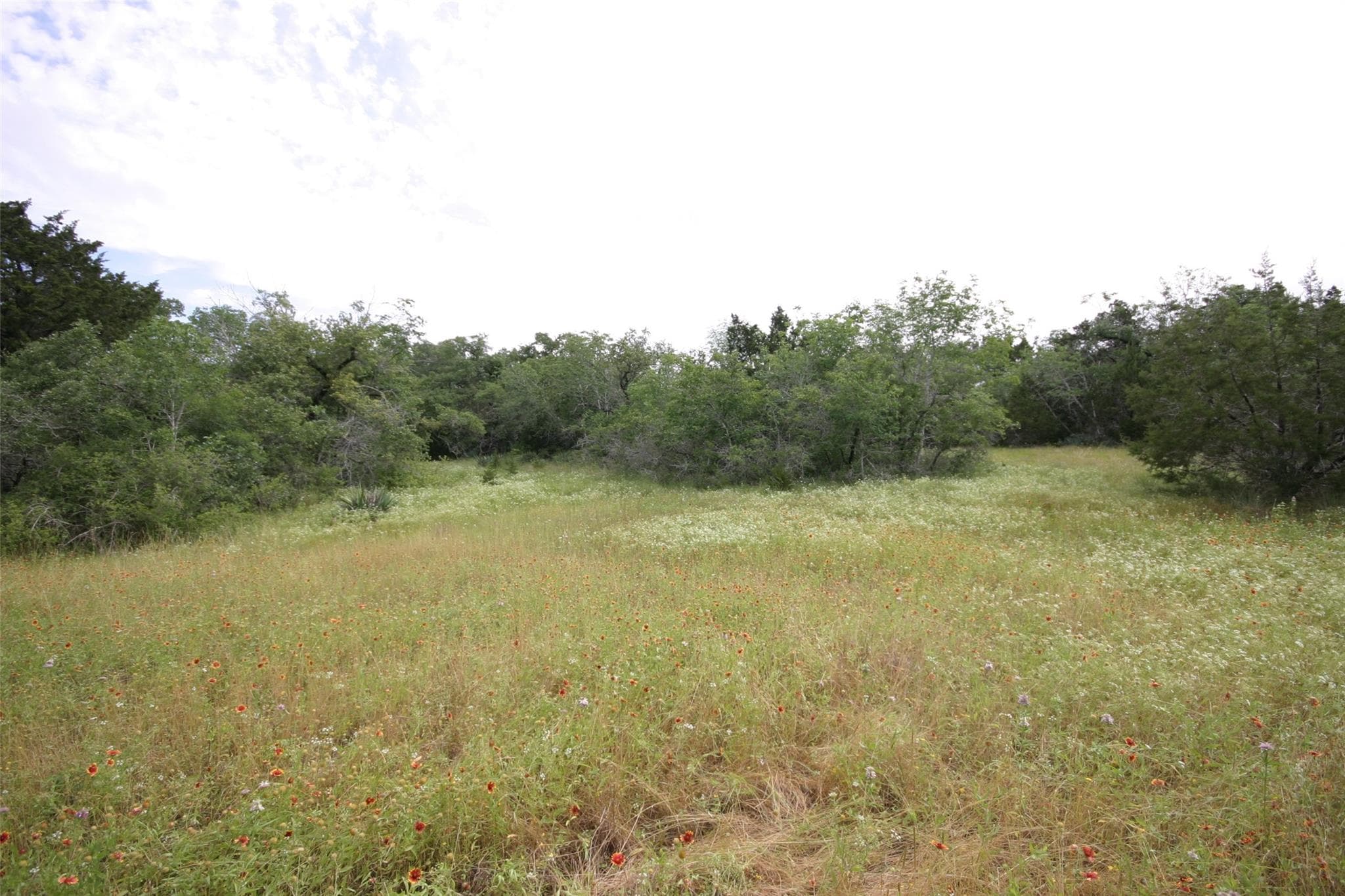 1900 County Road 156 None